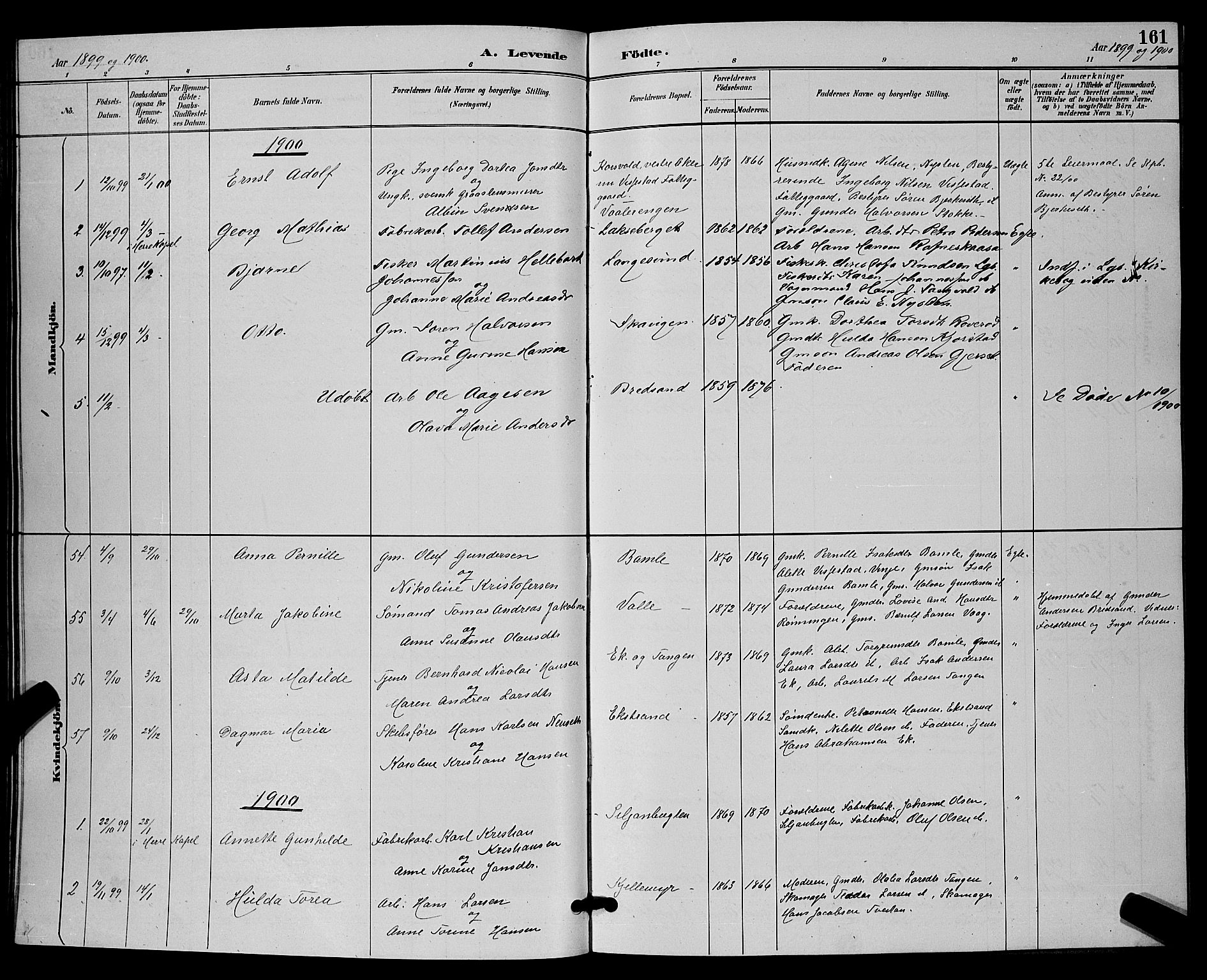 Bamble kirkebøker, SAKO/A-253/G/Ga/L0009: Parish register (copy) no. I 9, 1888-1900, p. 161