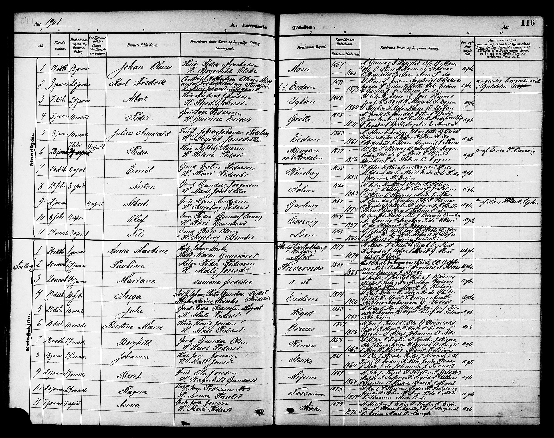 Ministerialprotokoller, klokkerbøker og fødselsregistre - Sør-Trøndelag, AV/SAT-A-1456/695/L1157: Parish register (copy) no. 695C08, 1889-1913, p. 116