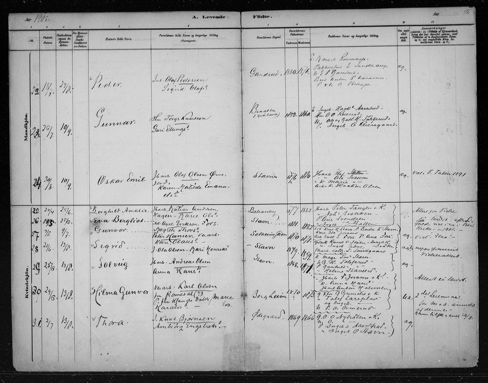 Nes kirkebøker, AV/SAKO-A-236/F/Fa/L0012: Parish register (official) no. 12, 1881-1917, p. 96