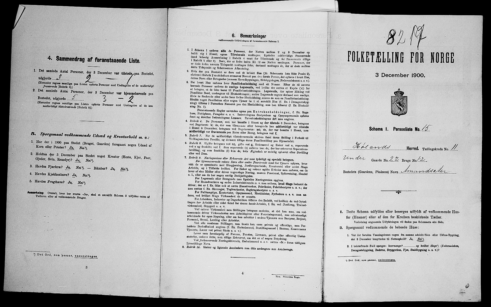 SAO, 1900 census for Høland, 1900