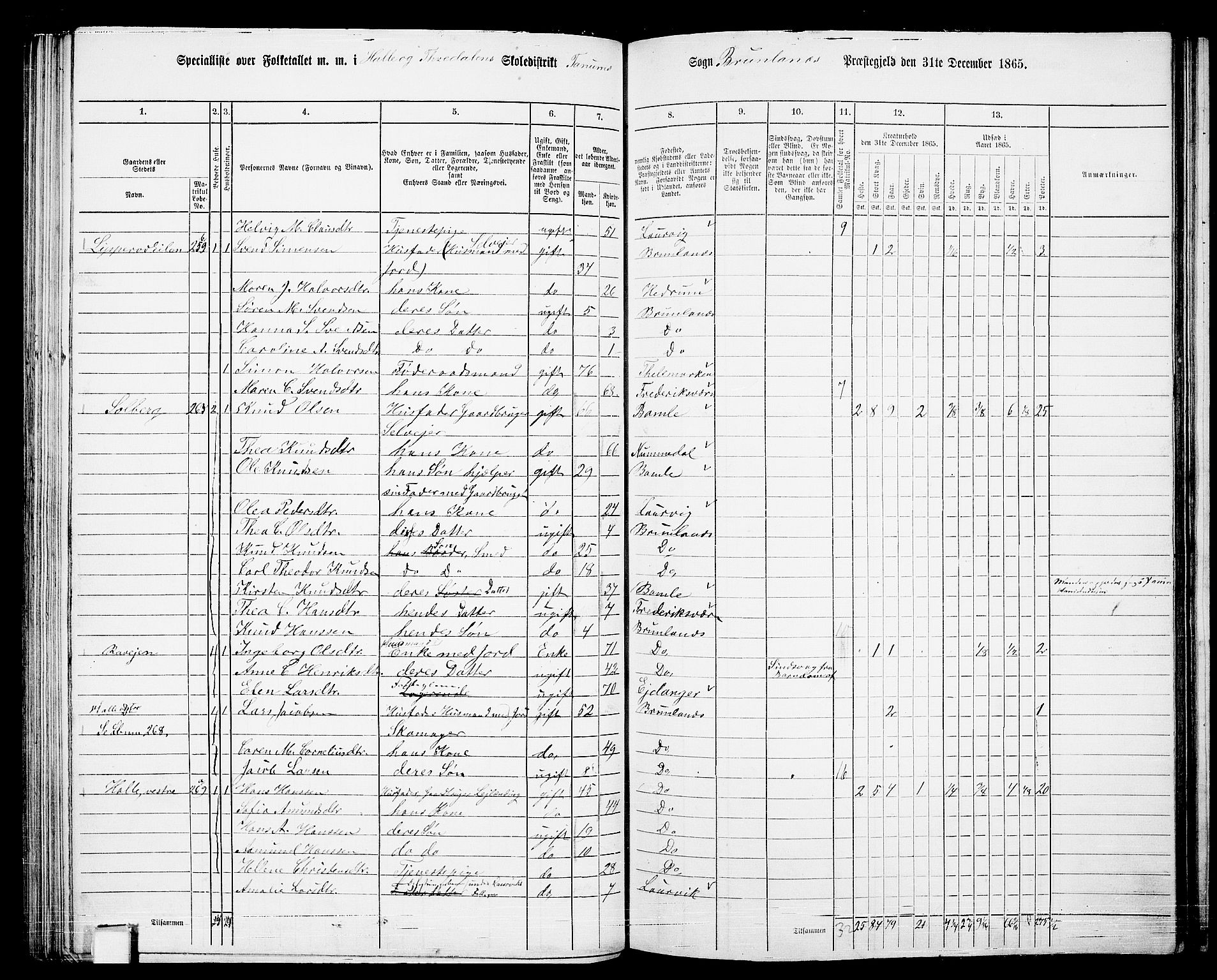 RA, 1865 census for Brunlanes, 1865, p. 99