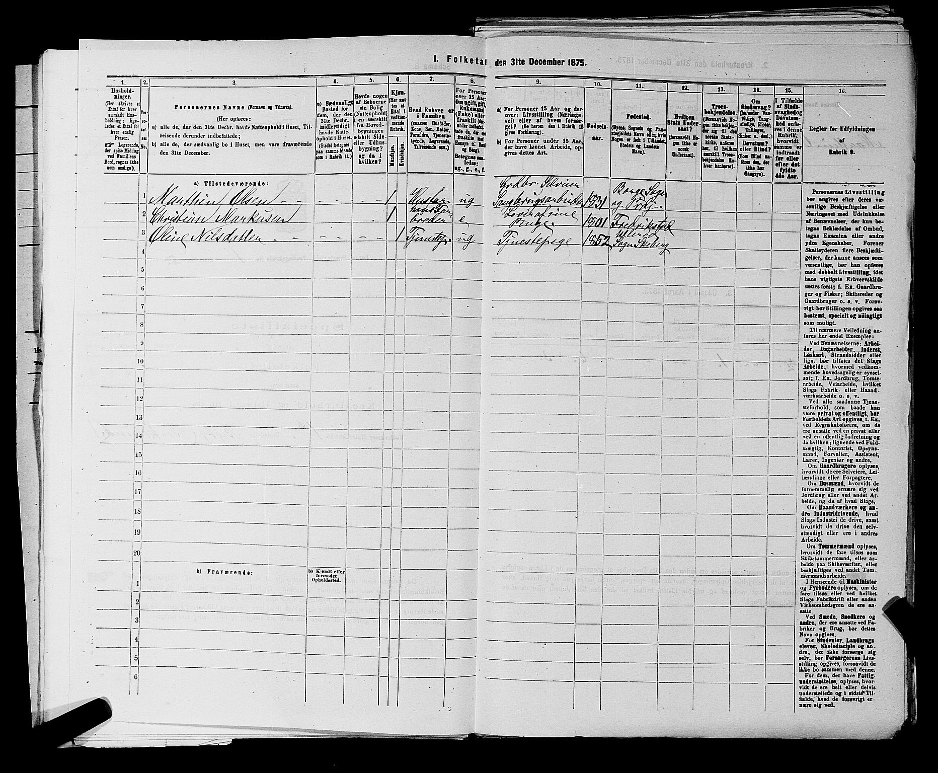 RA, 1875 census for 0113P Borge, 1875, p. 38