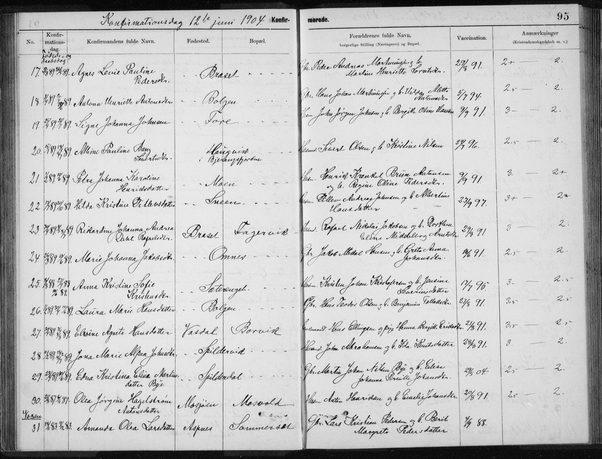 Ministerialprotokoller, klokkerbøker og fødselsregistre - Nordland, SAT/A-1459/843/L0637: Parish register (copy) no. 843C06, 1884-1908, p. 95