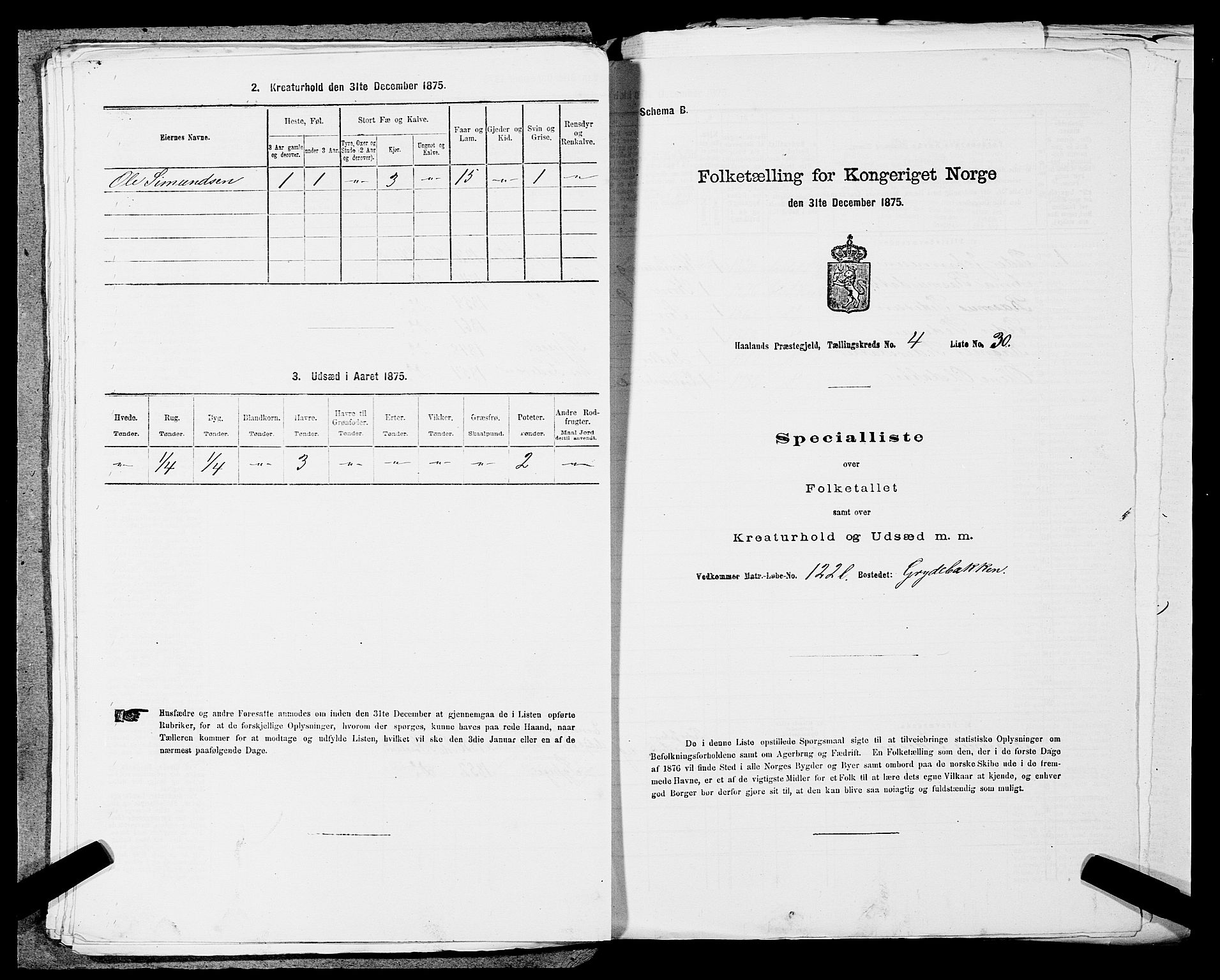 SAST, 1875 census for 1124P Håland, 1875, p. 638