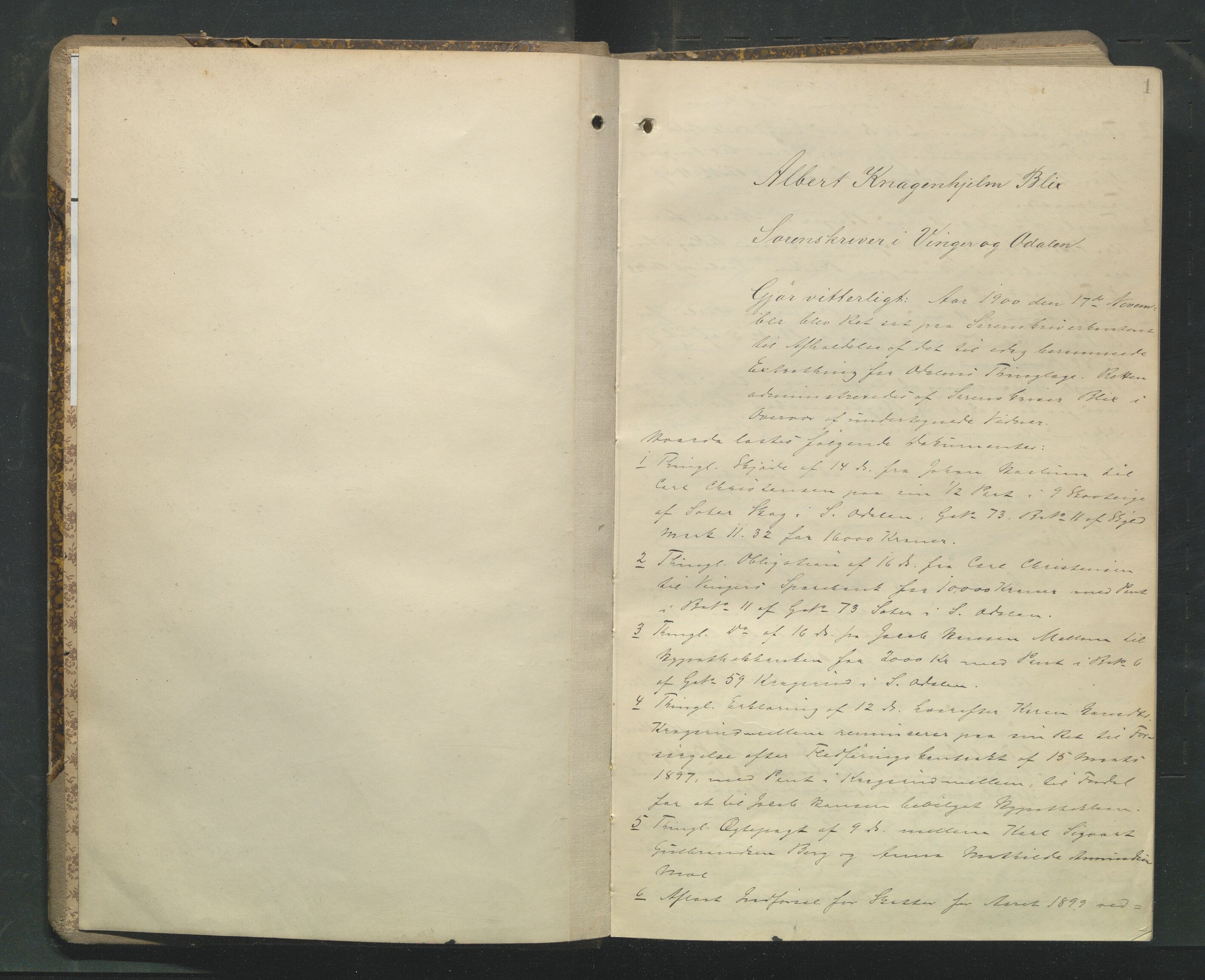 Vinger og Odal sorenskriveri, AV/SAH-TING-022/G/Gb/Gbb/L0012: Tingbok - Odal, 1900-1905, p. 1a