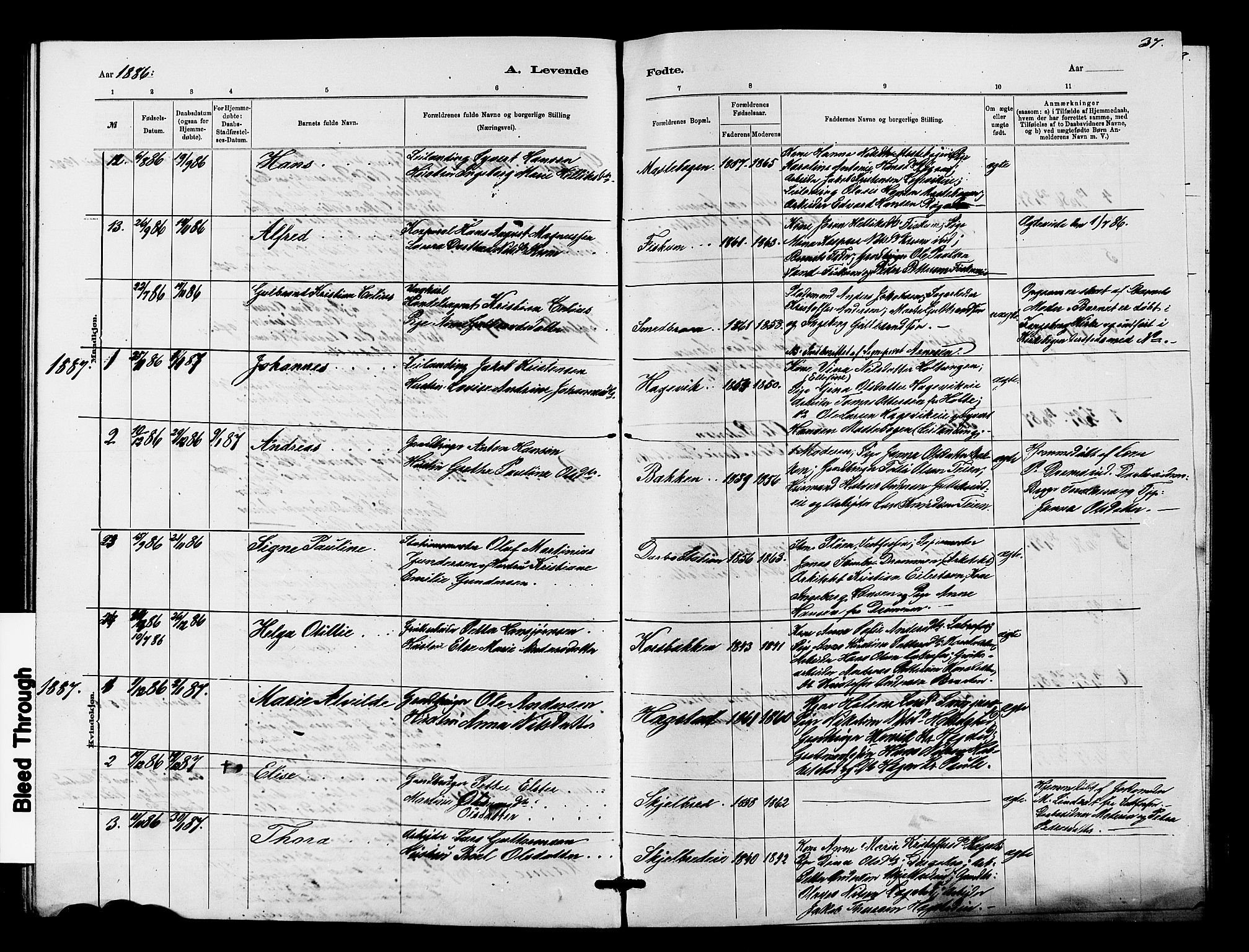 Fiskum kirkebøker, AV/SAKO-A-15/G/Ga/L0004: Parish register (copy) no. 4, 1878-1887, p. 37