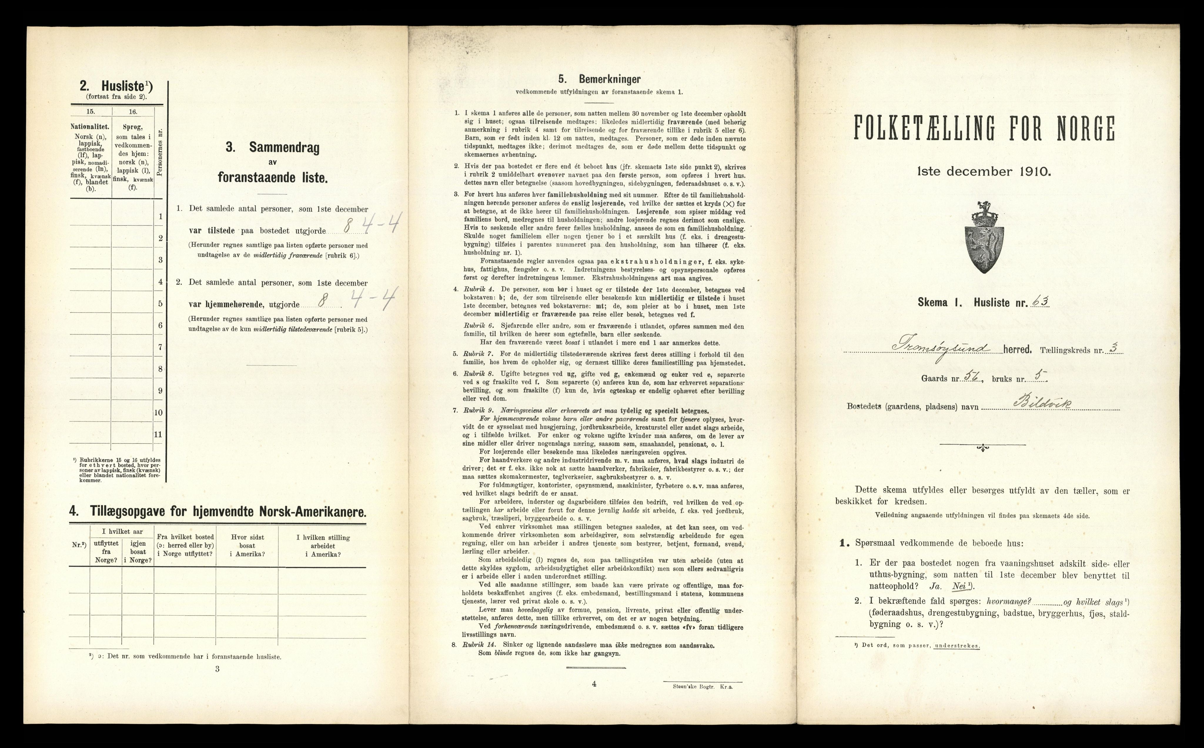 RA, 1910 census for Tromsøysund, 1910, p. 795