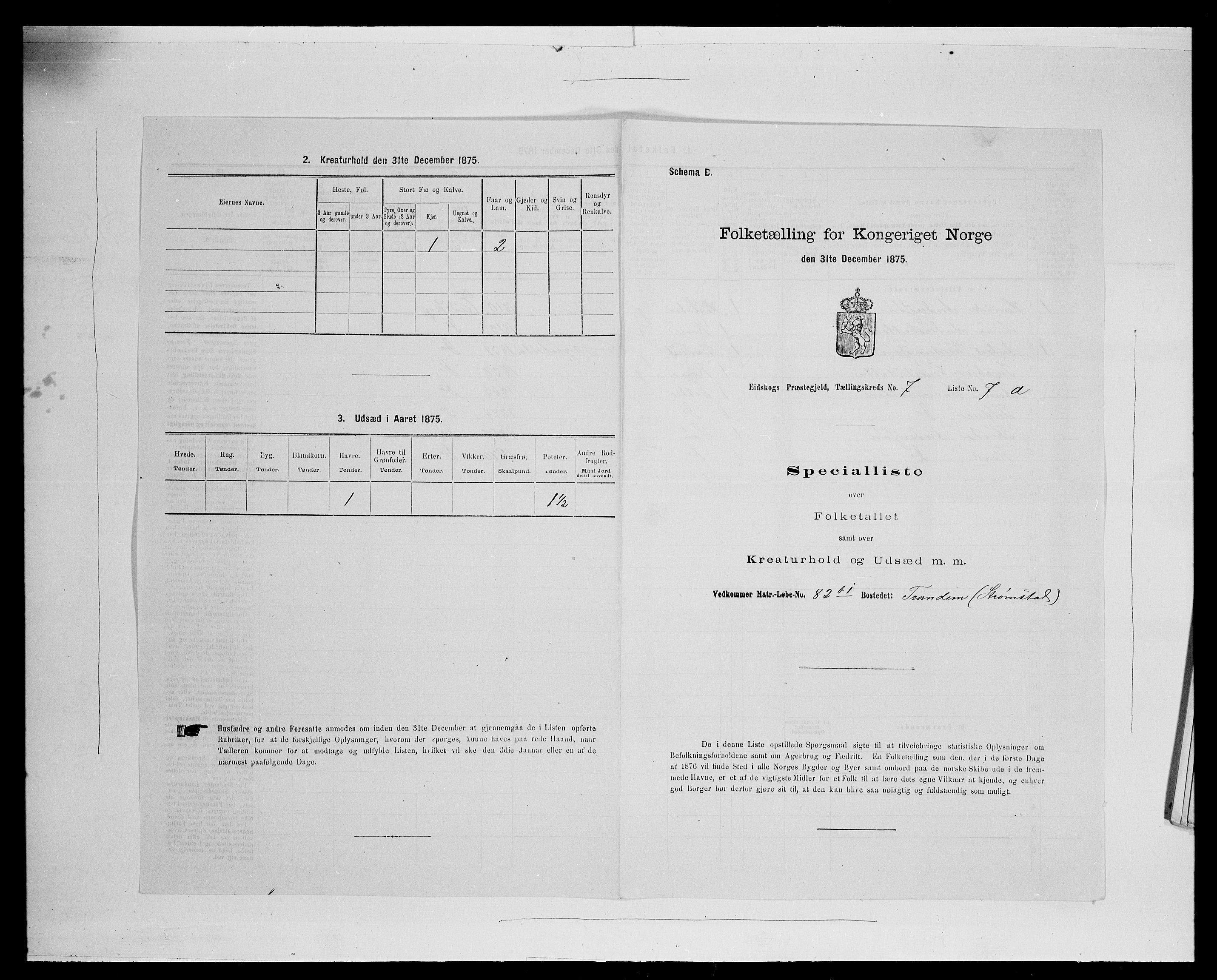 SAH, 1875 census for 0420P Eidskog, 1875, p. 1246