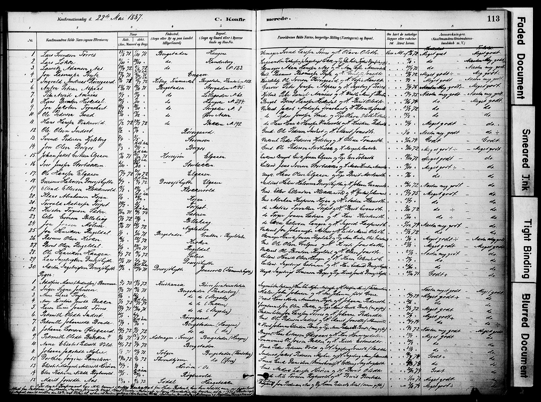 Ministerialprotokoller, klokkerbøker og fødselsregistre - Sør-Trøndelag, SAT/A-1456/681/L0933: Parish register (official) no. 681A11, 1879-1890, p. 113