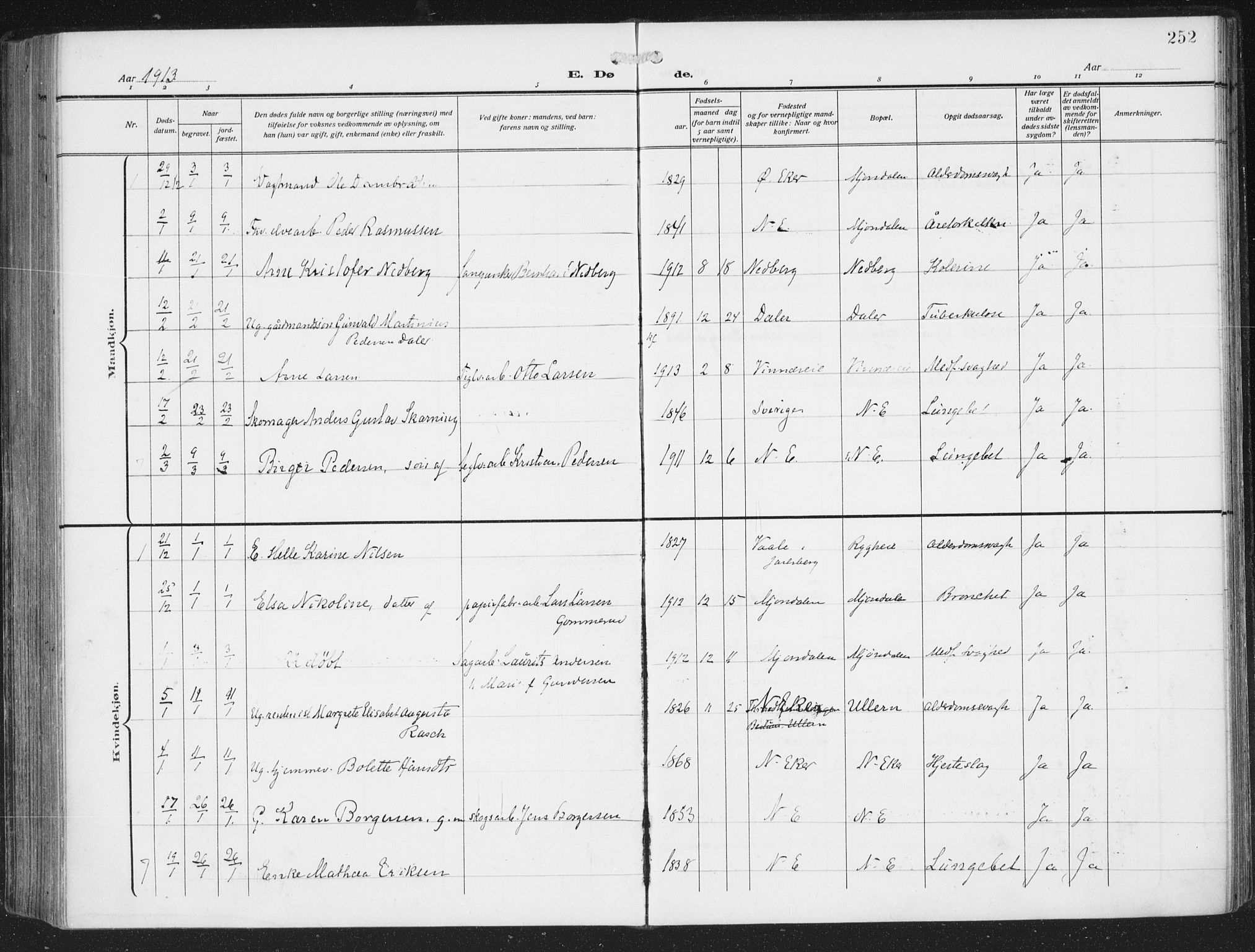 Nedre Eiker kirkebøker, AV/SAKO-A-612/F/Fa/L0007: Parish register (official) no. 7, 1912-1918, p. 252