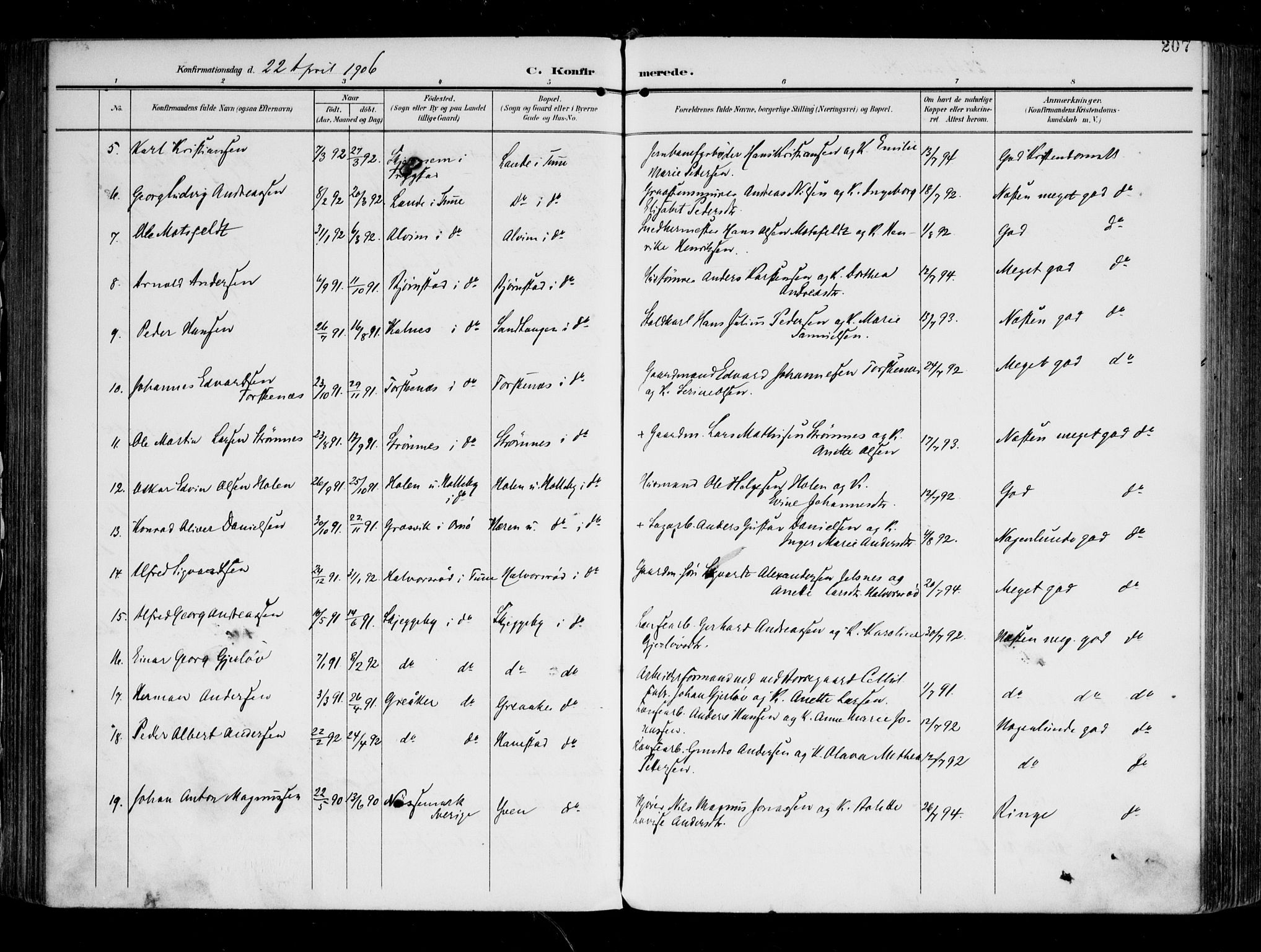 Tune prestekontor Kirkebøker, AV/SAO-A-2007/F/Fa/L0020: Parish register (official) no. 20, 1904-1909, p. 207
