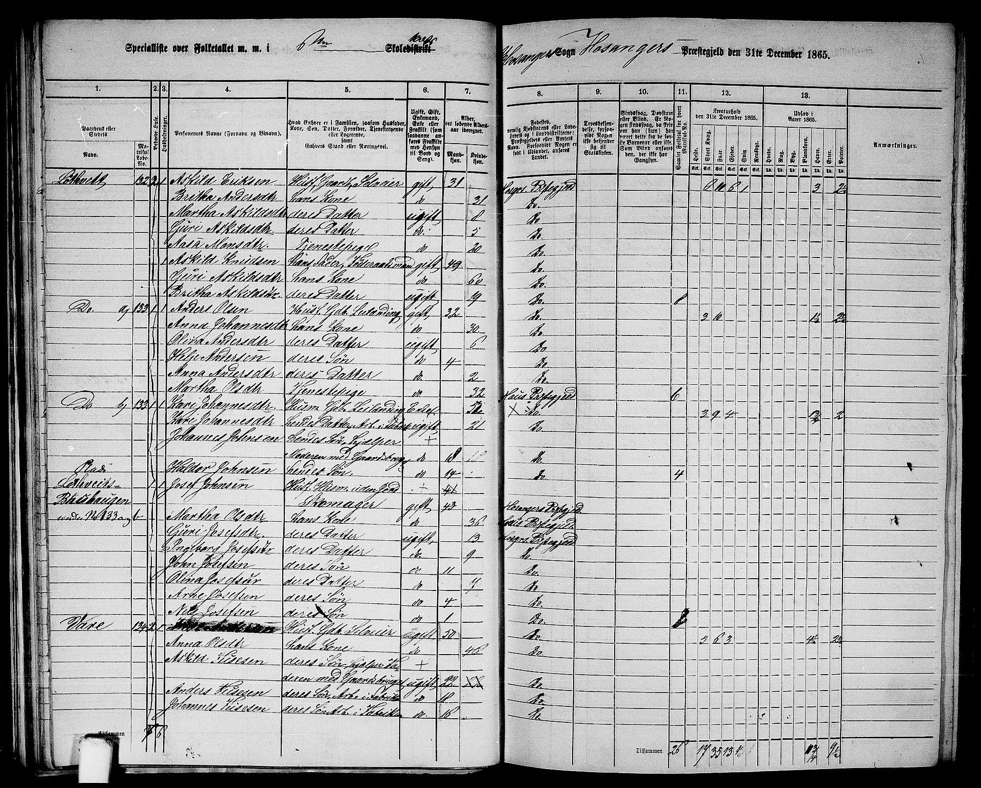 RA, 1865 census for Hosanger, 1865, p. 47