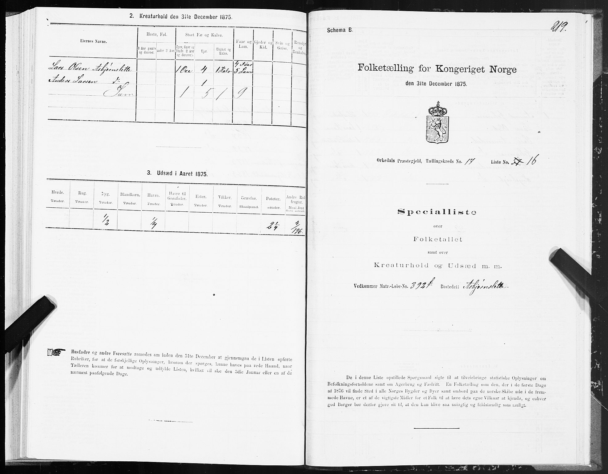 SAT, 1875 census for 1638P Orkdal, 1875, p. 8219