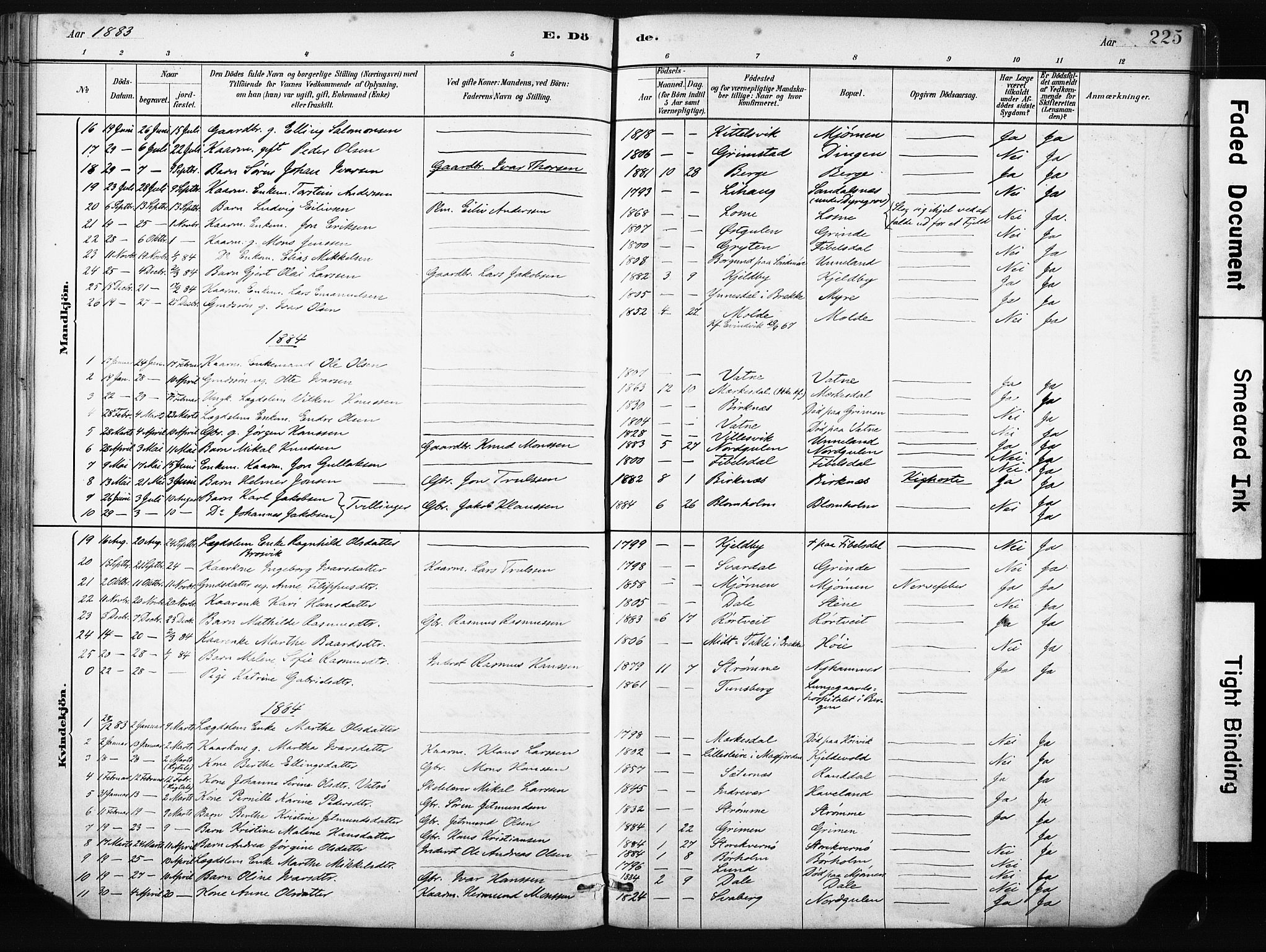 Gulen sokneprestembete, SAB/A-80201/H/Haa/Haab/L0001: Parish register (official) no. B 1, 1881-1905, p. 225