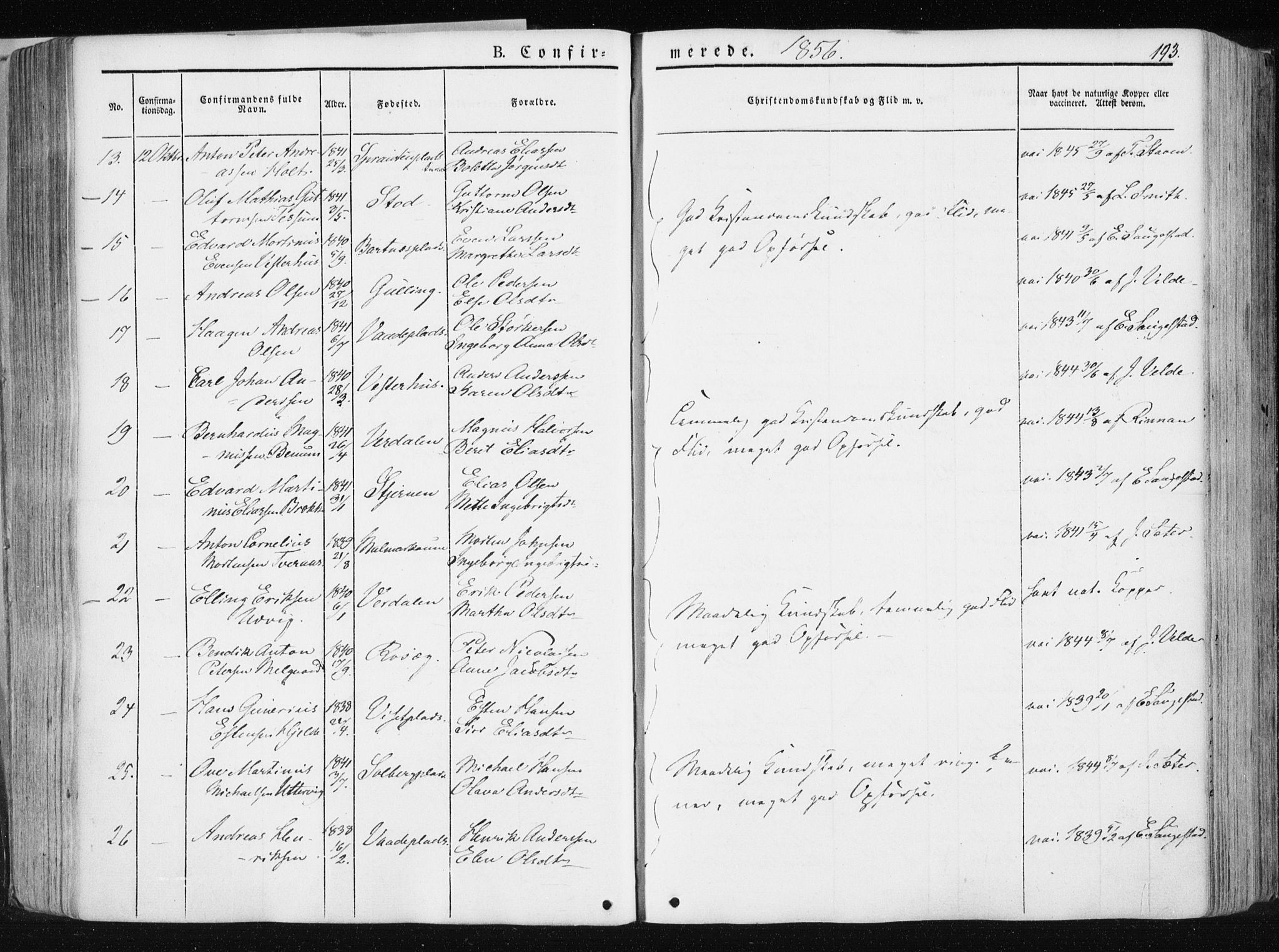 Ministerialprotokoller, klokkerbøker og fødselsregistre - Nord-Trøndelag, AV/SAT-A-1458/741/L0393: Parish register (official) no. 741A07, 1849-1863, p. 193