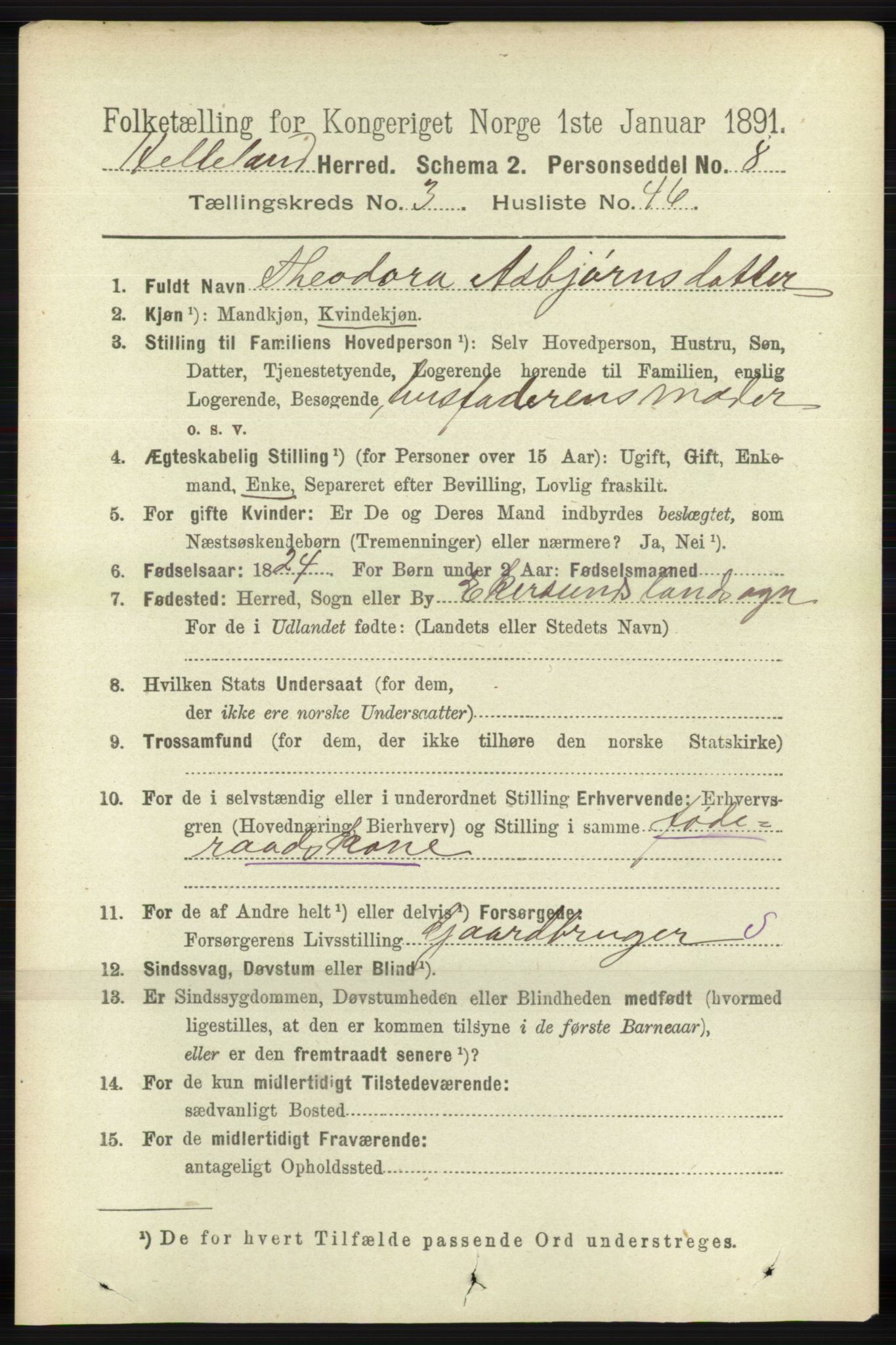 RA, 1891 census for 1115 Helleland, 1891, p. 1102