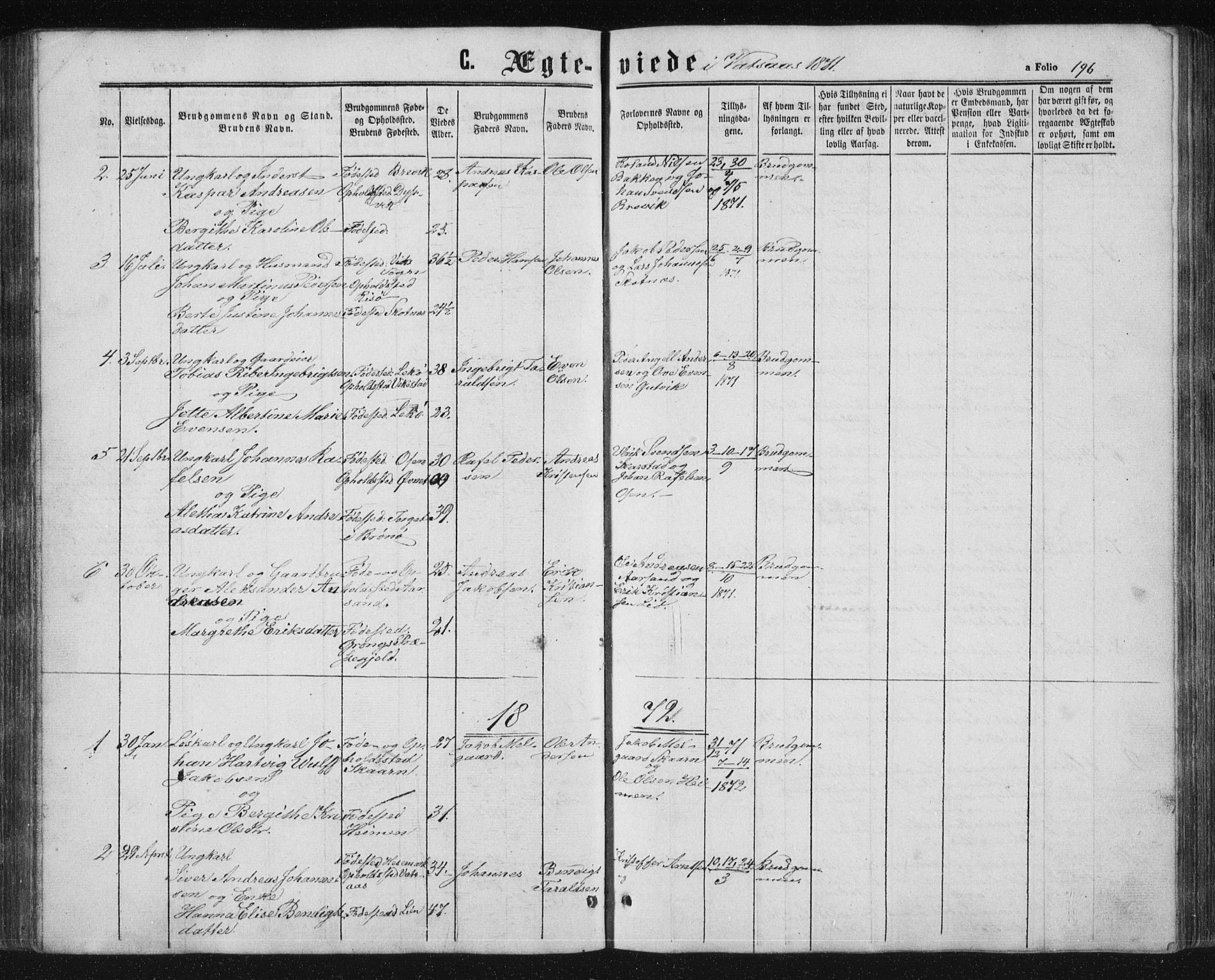 Ministerialprotokoller, klokkerbøker og fødselsregistre - Nordland, AV/SAT-A-1459/810/L0158: Parish register (copy) no. 810C02 /1, 1863-1883, p. 196