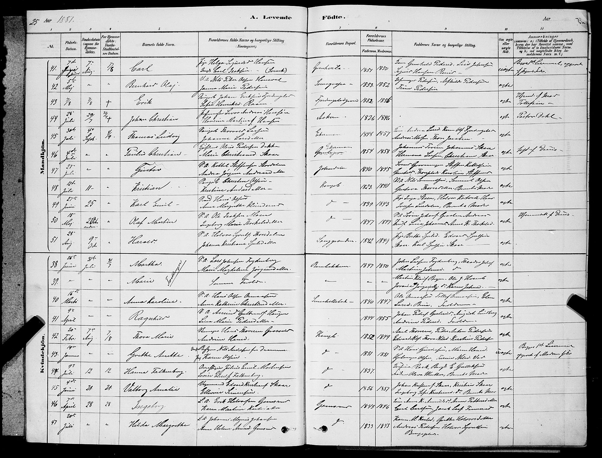 Kongsberg kirkebøker, AV/SAKO-A-22/G/Ga/L0005: Parish register (copy) no. 5, 1878-1889, p. 25