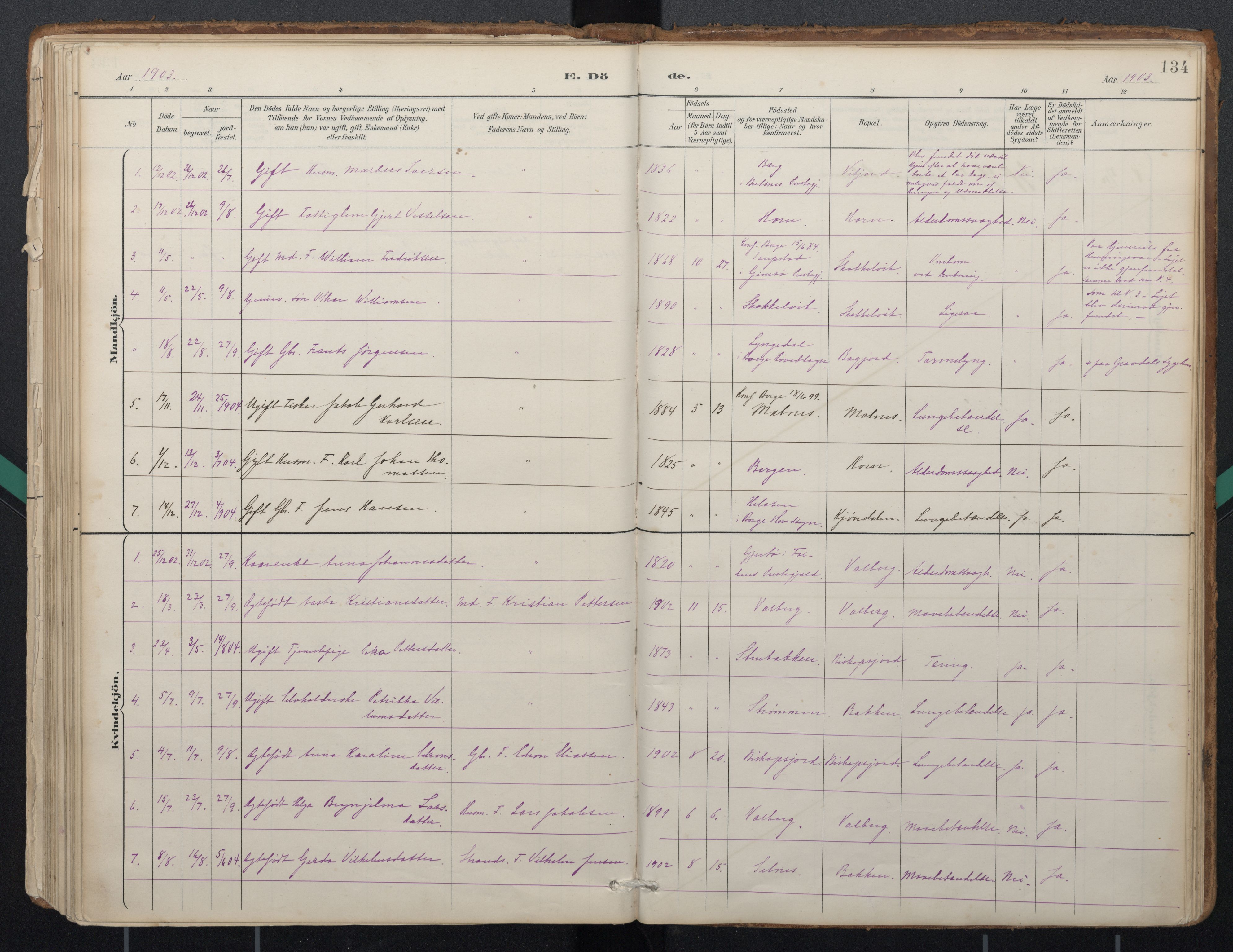 Ministerialprotokoller, klokkerbøker og fødselsregistre - Nordland, AV/SAT-A-1459/884/L1193: Parish register (official) no. 884A01, 1888-1905, p. 134