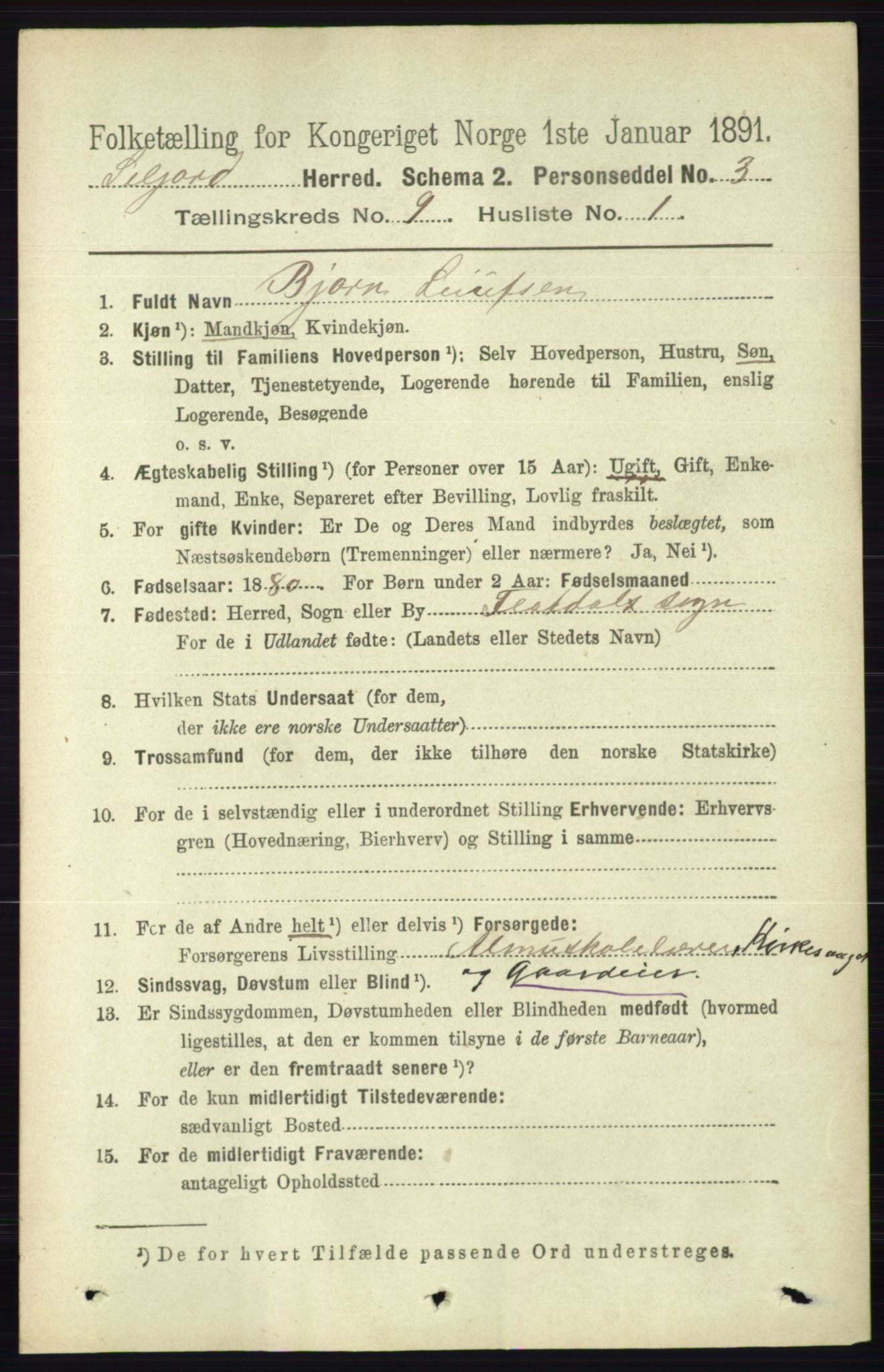 RA, 1891 census for 0828 Seljord, 1891, p. 3173