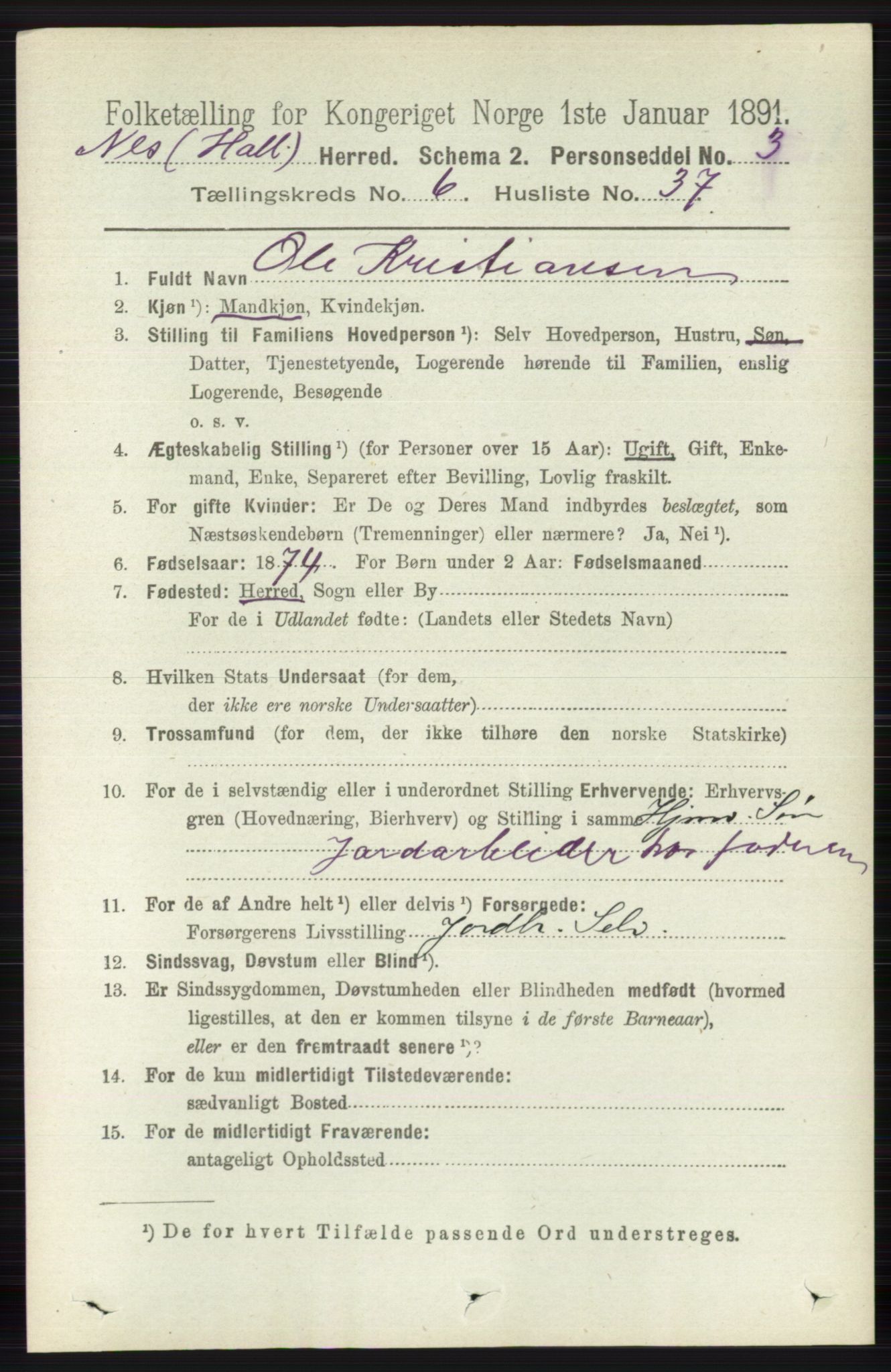 RA, 1891 census for 0616 Nes, 1891, p. 3246