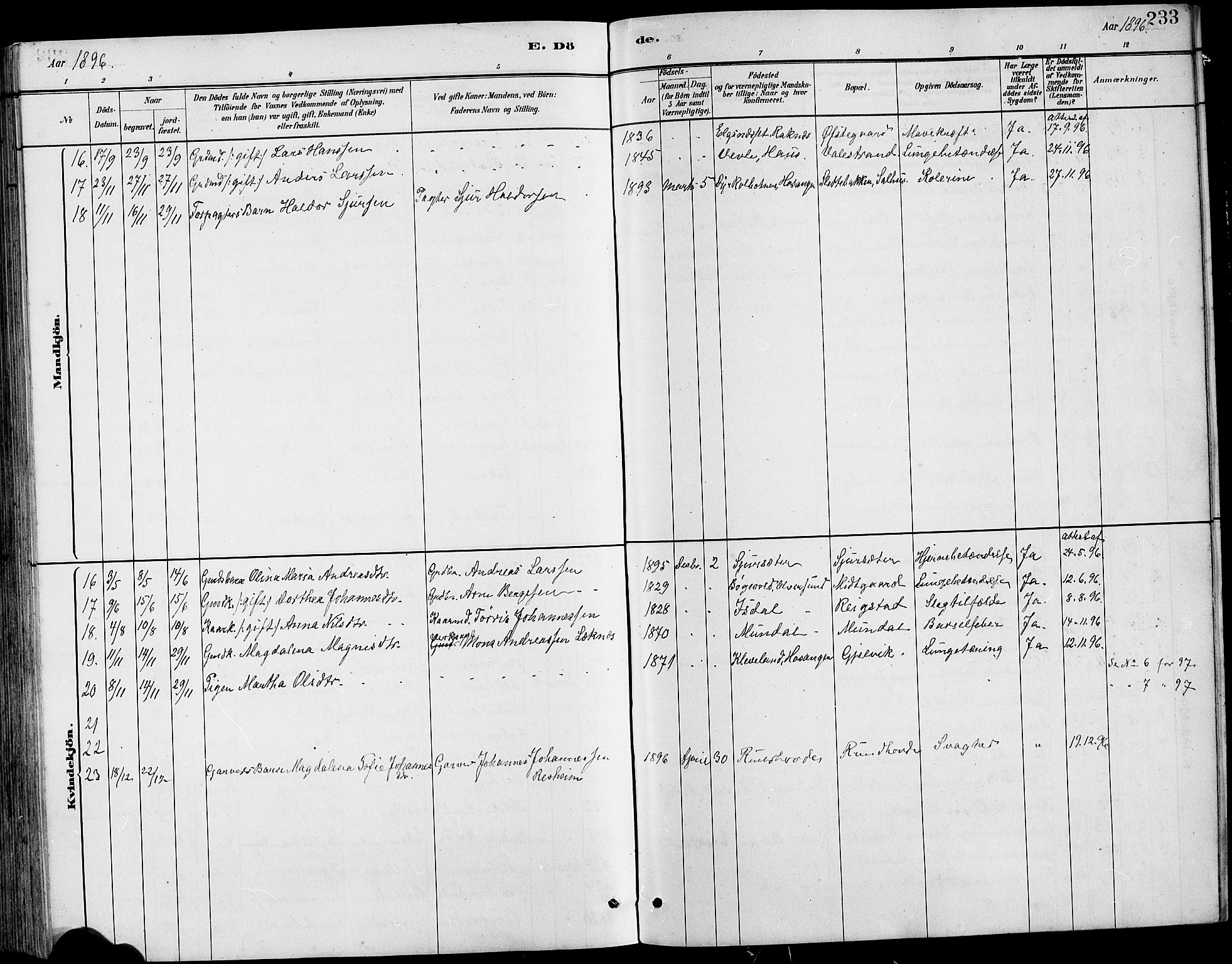 Hamre sokneprestembete, AV/SAB-A-75501/H/Ha/Hab: Parish register (copy) no. B 3, 1881-1898, p. 233