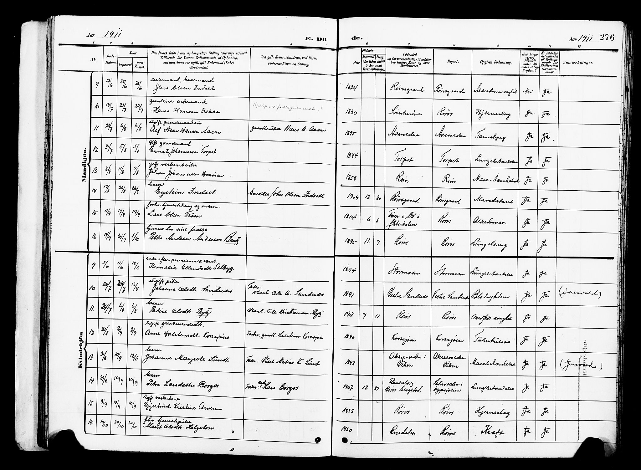 Ministerialprotokoller, klokkerbøker og fødselsregistre - Sør-Trøndelag, SAT/A-1456/681/L0942: Parish register (copy) no. 681C06, 1906-1925, p. 276