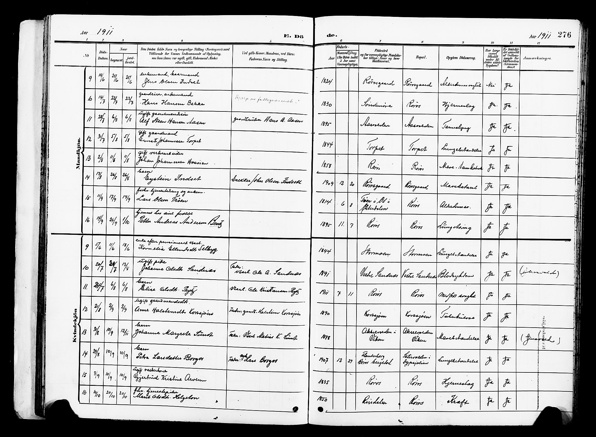 Ministerialprotokoller, klokkerbøker og fødselsregistre - Sør-Trøndelag, AV/SAT-A-1456/681/L0942: Parish register (copy) no. 681C06, 1906-1925, p. 276