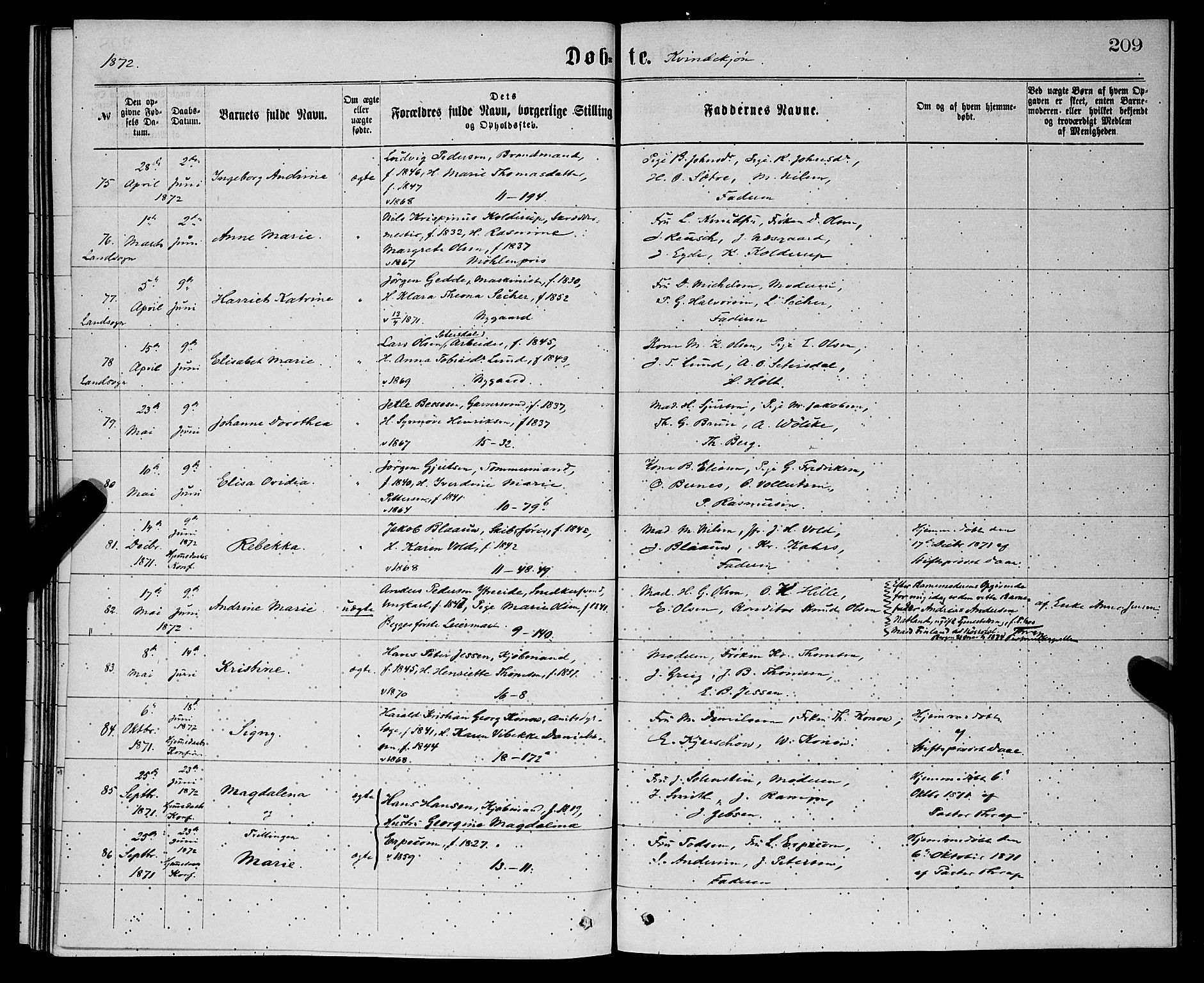 Domkirken sokneprestembete, SAB/A-74801/H/Hab/L0013: Parish register (copy) no. B 6, 1869-1876, p. 209