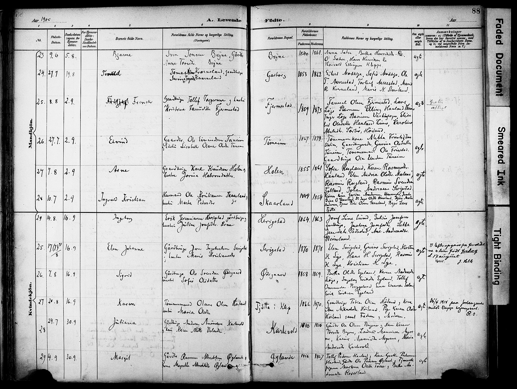 Lye sokneprestkontor, AV/SAST-A-101794/001/30BA/L0011: Parish register (official) no. A 9, 1893-1903, p. 88