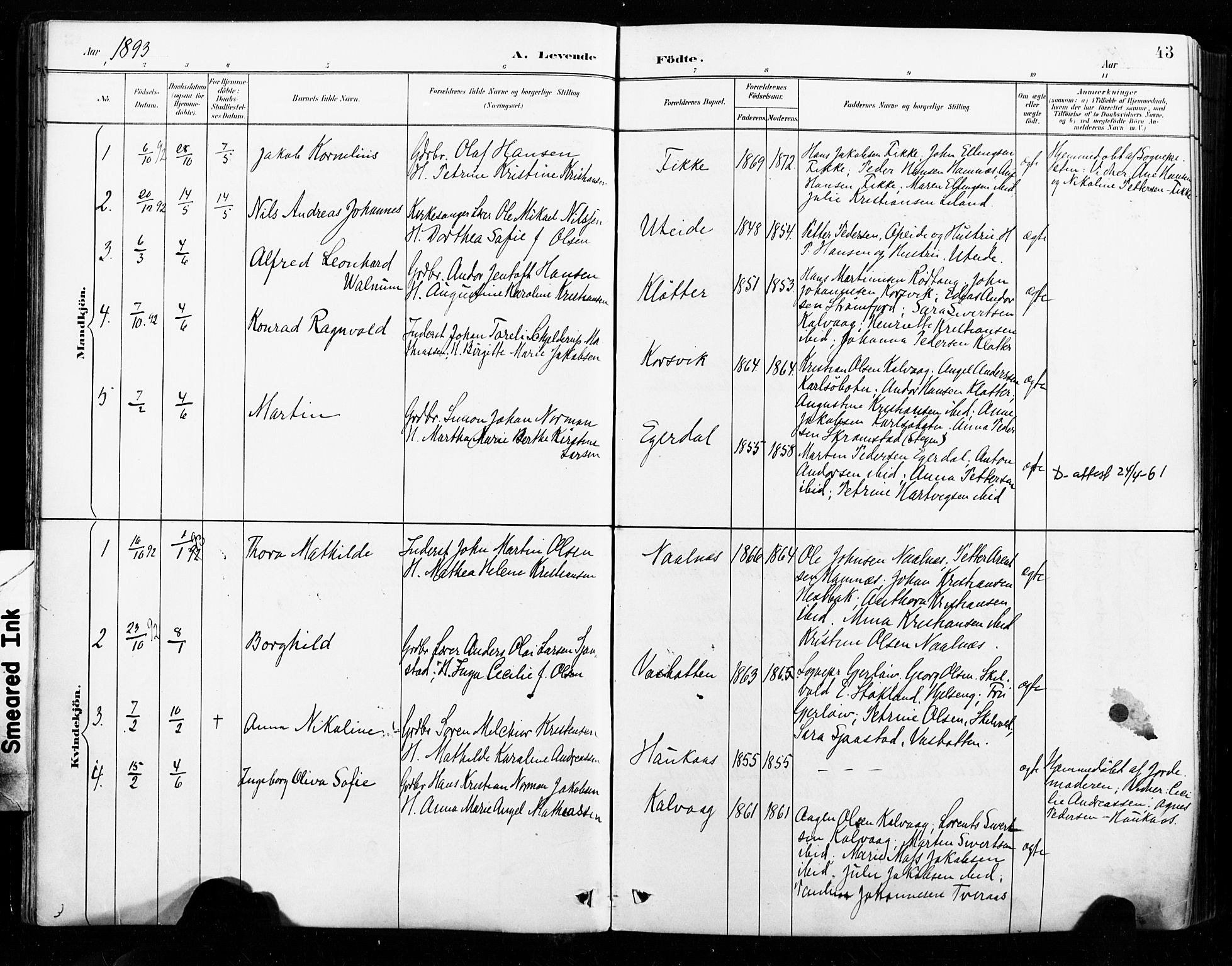 Ministerialprotokoller, klokkerbøker og fødselsregistre - Nordland, SAT/A-1459/859/L0847: Parish register (official) no. 859A07, 1890-1899, p. 43