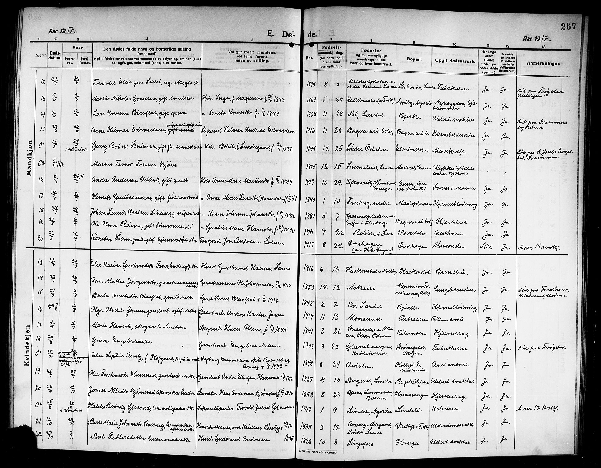 Norderhov kirkebøker, SAKO/A-237/G/Ga/L0009: Parish register (copy) no. I 9, 1913-1920, p. 267