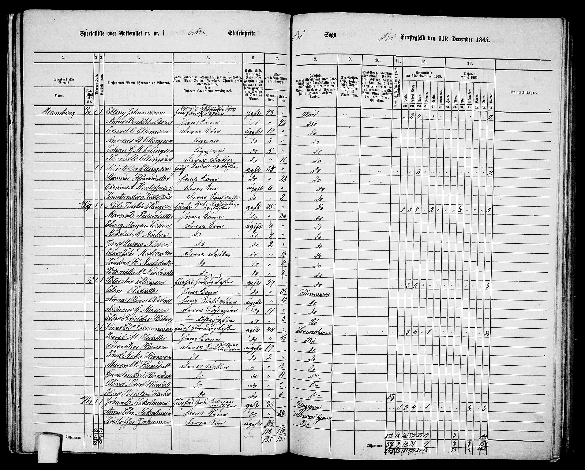 RA, 1865 census for Bø, 1865, p. 39