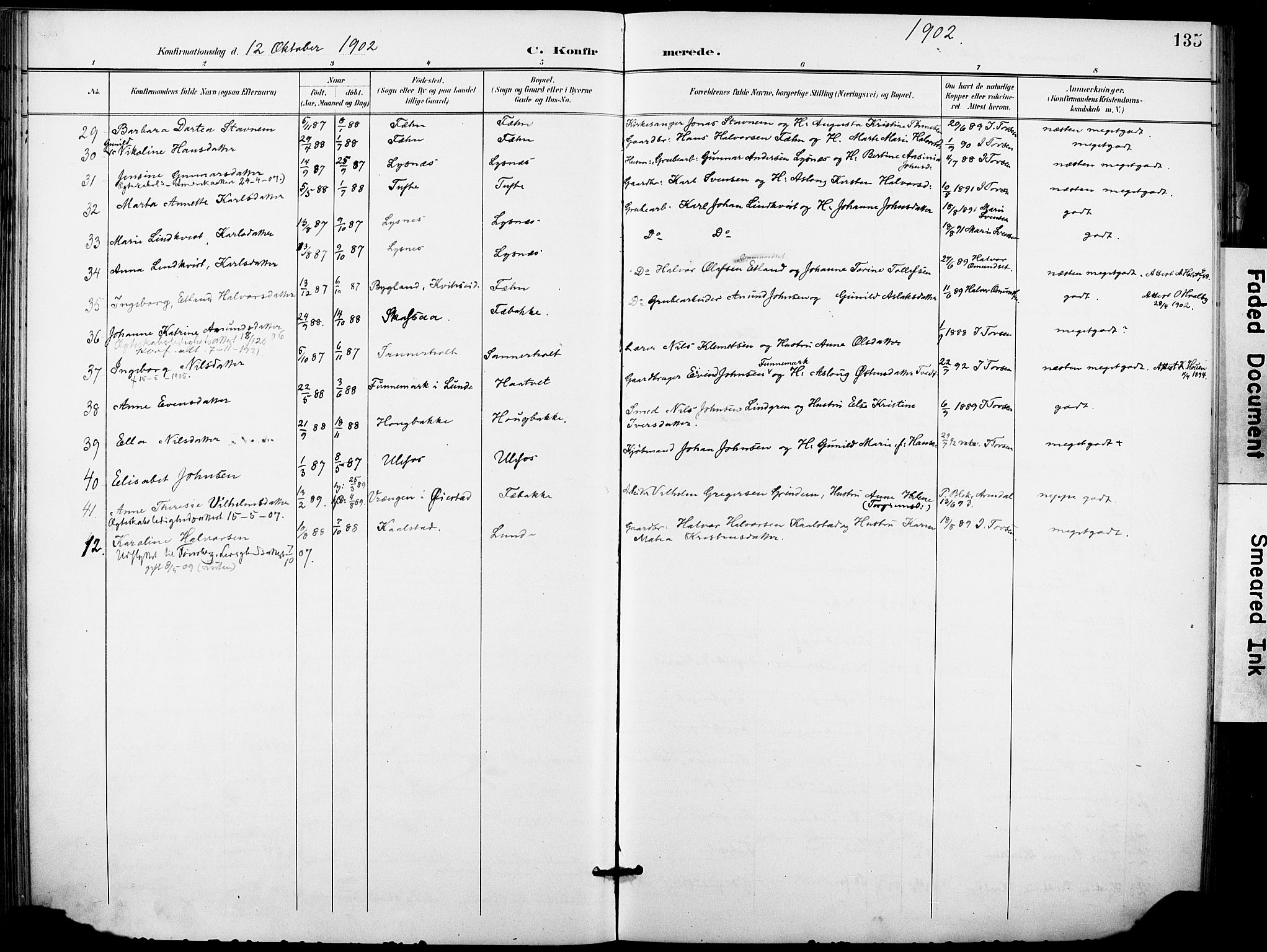 Holla kirkebøker, AV/SAKO-A-272/F/Fa/L0010: Parish register (official) no. 10, 1897-1907, p. 135