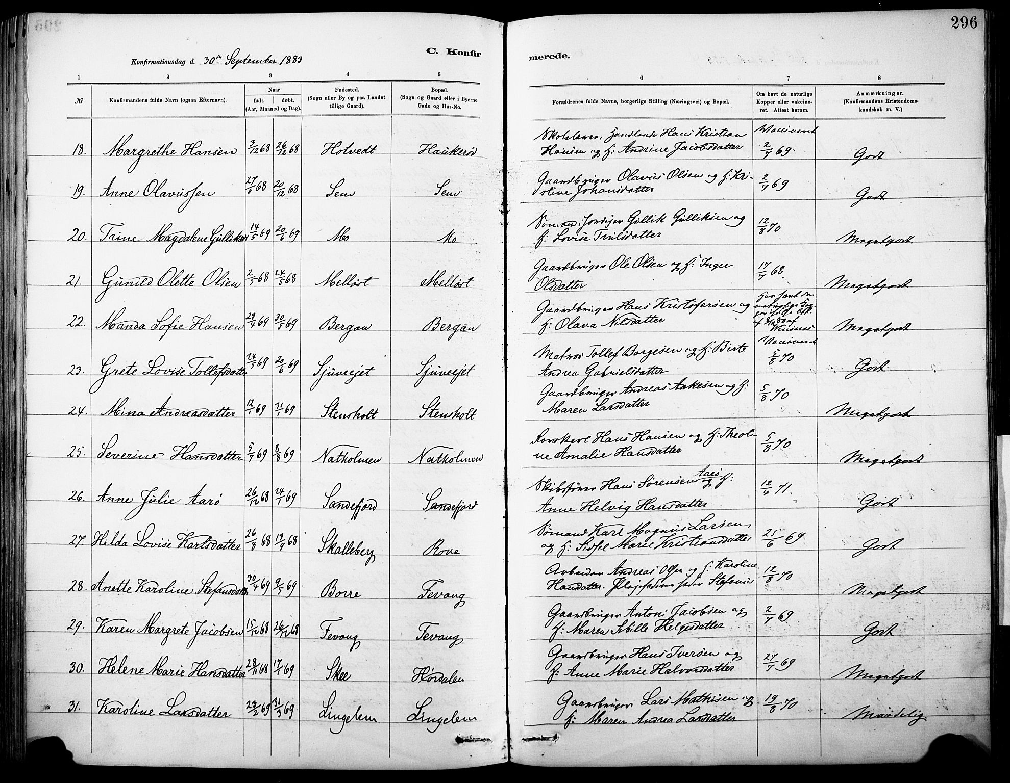 Sandar kirkebøker, AV/SAKO-A-243/F/Fa/L0012: Parish register (official) no. 12, 1883-1895, p. 296