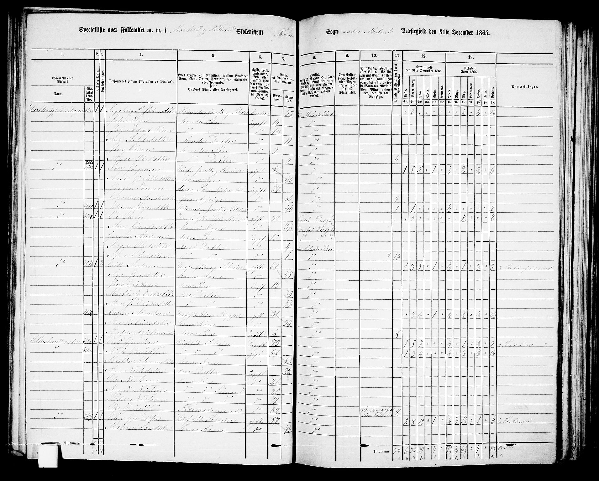 RA, 1865 census for Austre Moland, 1865, p. 145