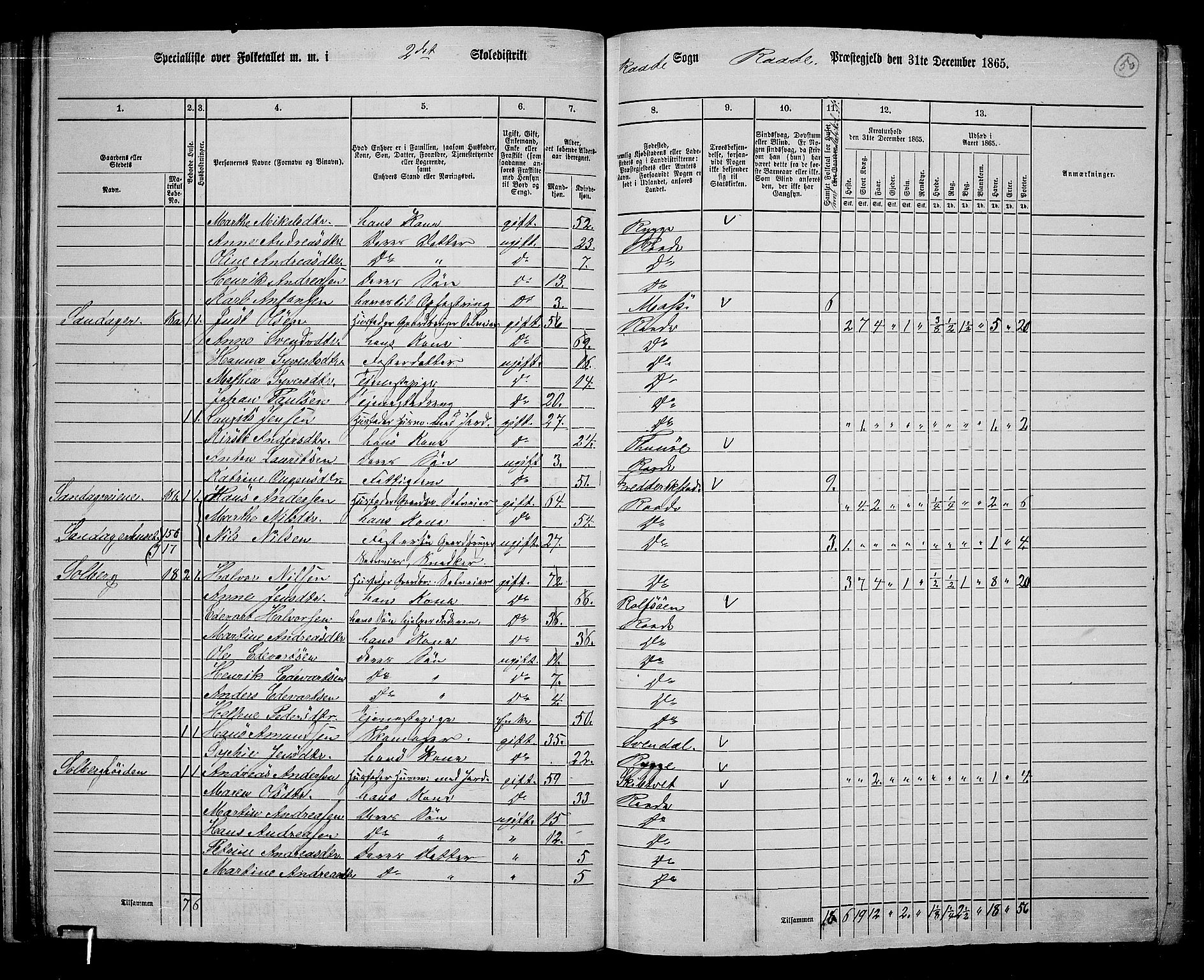 RA, 1865 census for Råde, 1865, p. 44