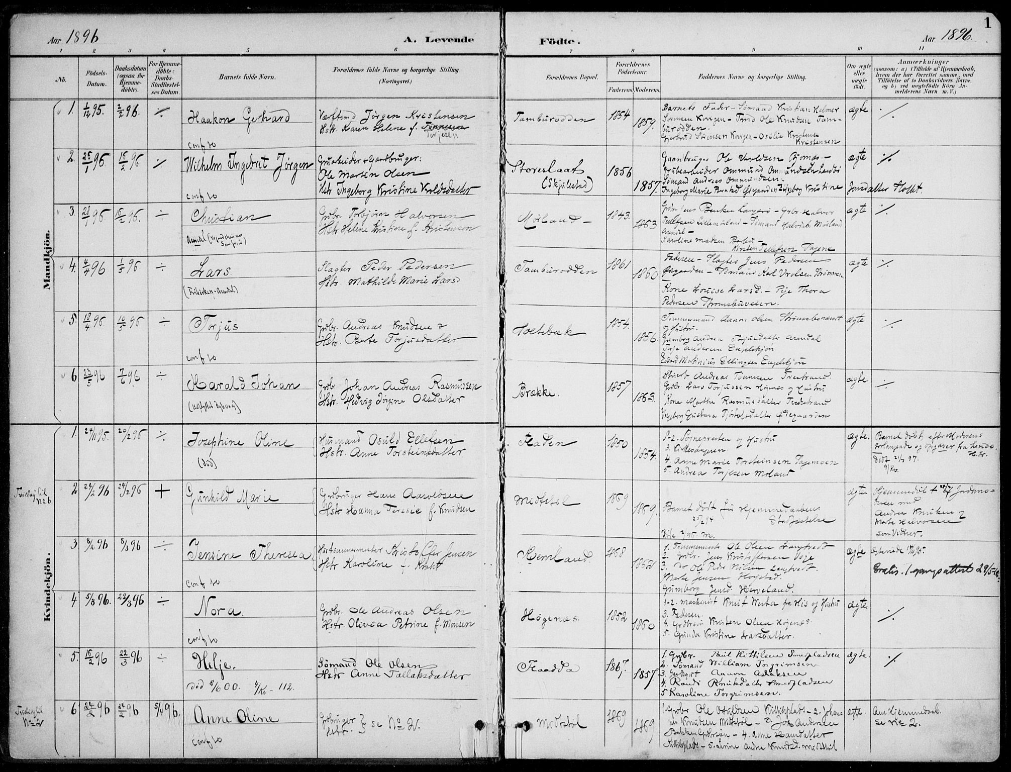 Austre Moland sokneprestkontor, SAK/1111-0001/F/Fa/Faa/L0011: Parish register (official) no. A 11, 1894-1915, p. 1
