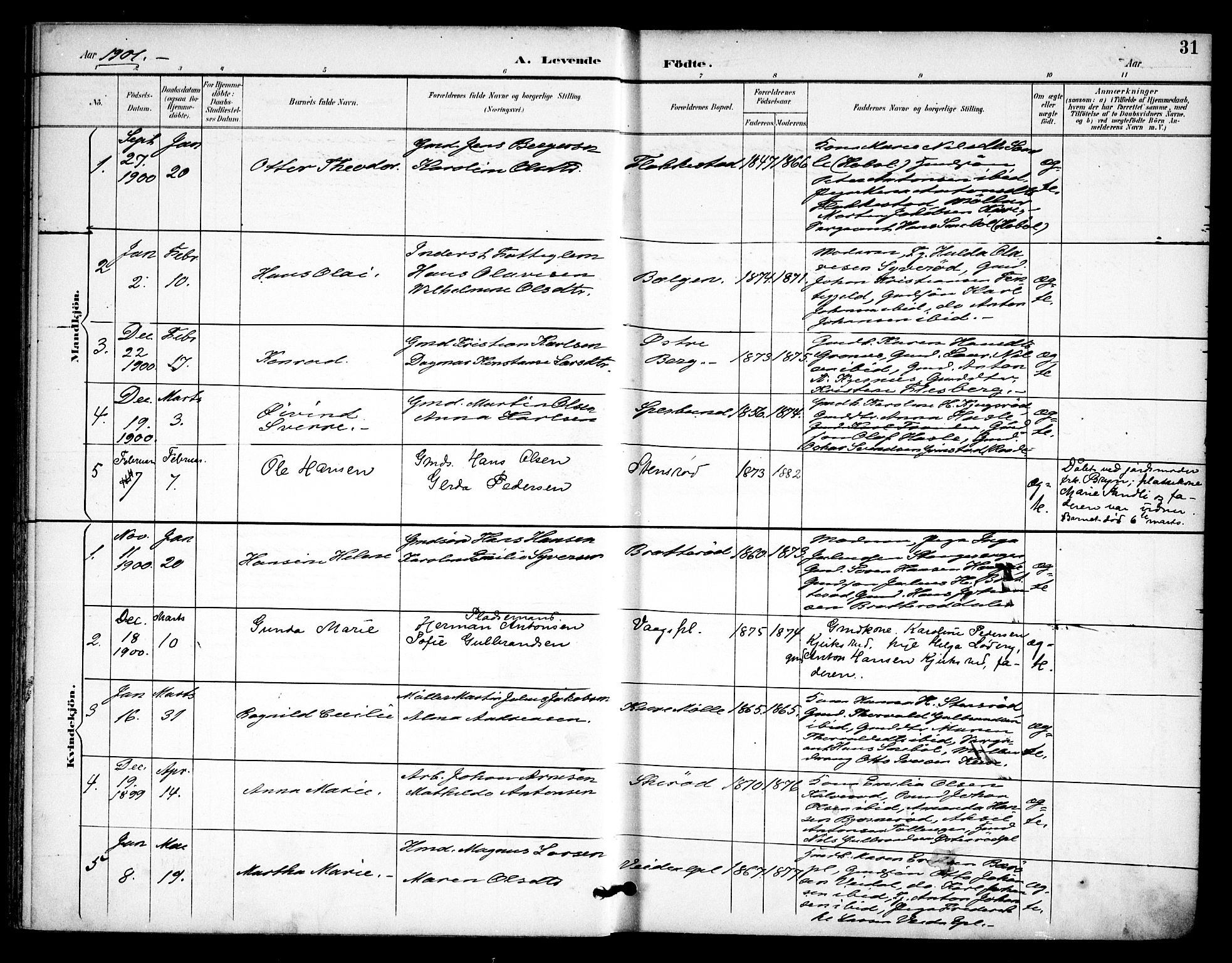 Våler prestekontor Kirkebøker, SAO/A-11083/F/Fa/L0011: Parish register (official) no. I 11, 1893-1909, p. 31