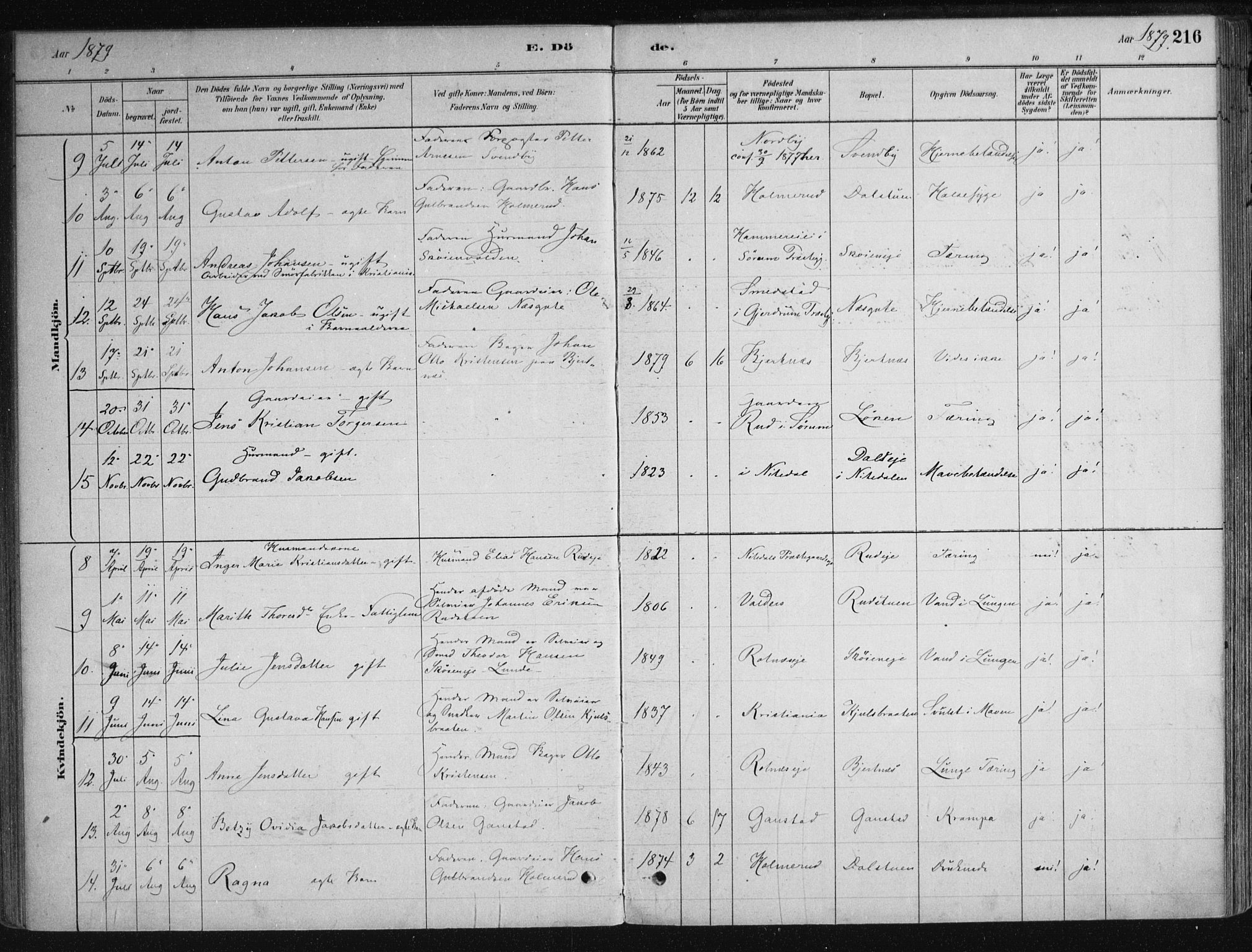 Nittedal prestekontor Kirkebøker, SAO/A-10365a/F/Fa/L0007: Parish register (official) no. I 7, 1879-1901, p. 216