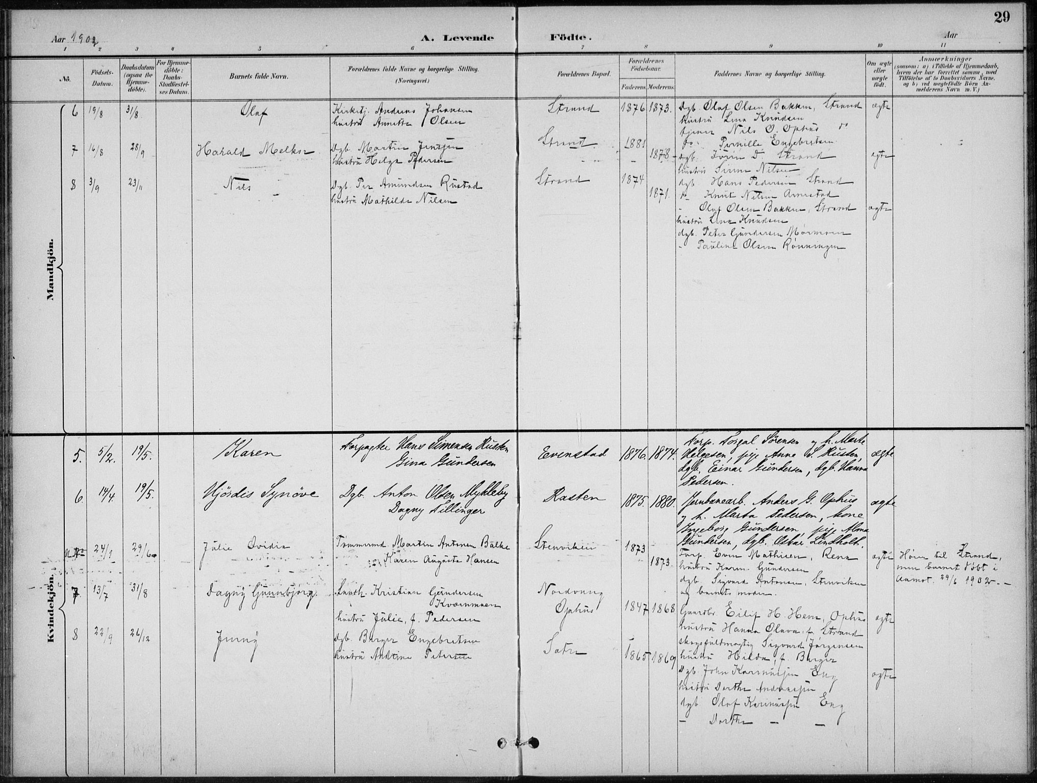 Stor-Elvdal prestekontor, SAH/PREST-052/H/Ha/Hab/L0004: Parish register (copy) no. 4, 1895-1938, p. 29