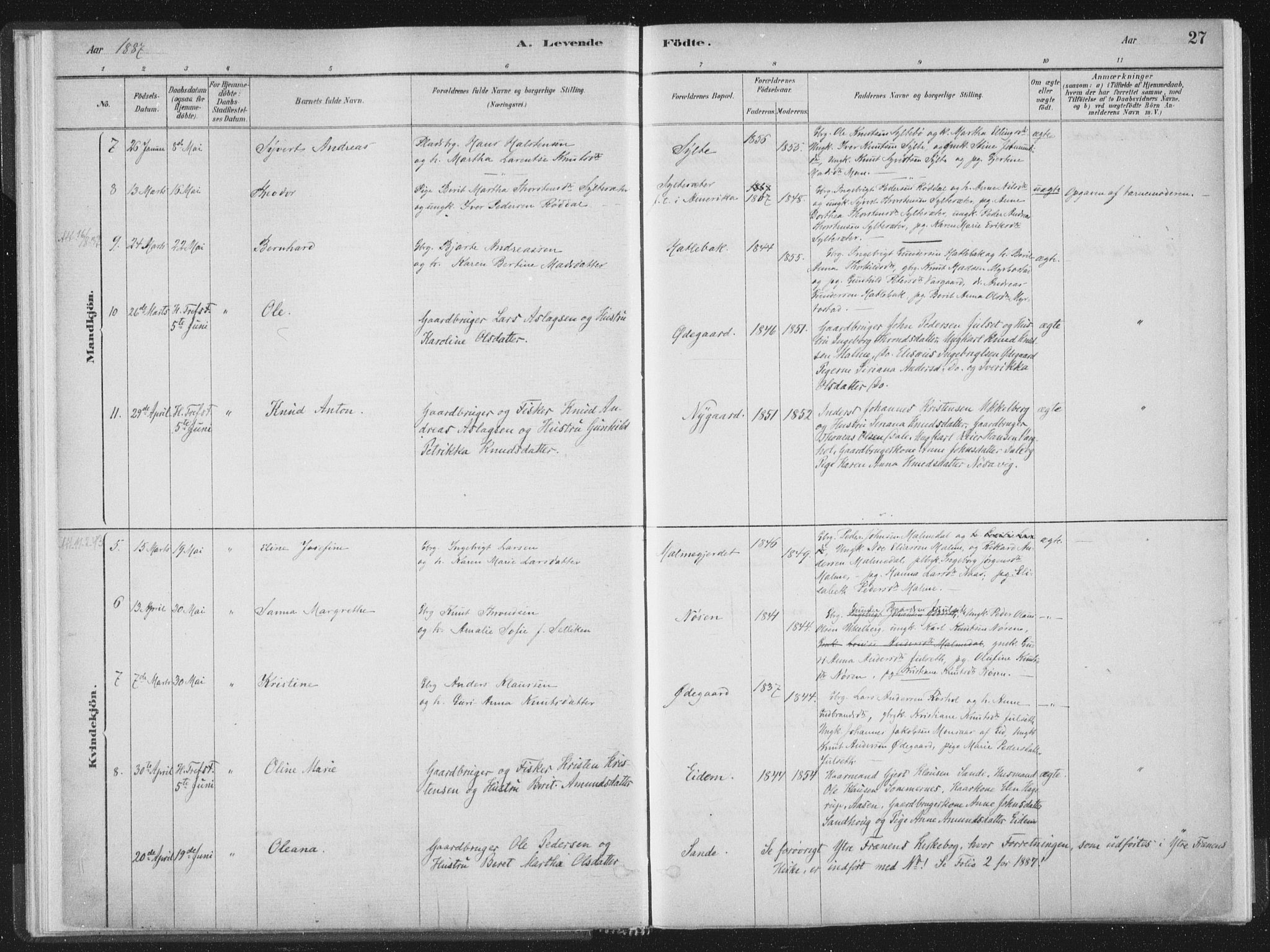 Ministerialprotokoller, klokkerbøker og fødselsregistre - Møre og Romsdal, AV/SAT-A-1454/564/L0740: Parish register (official) no. 564A01, 1880-1899, p. 27