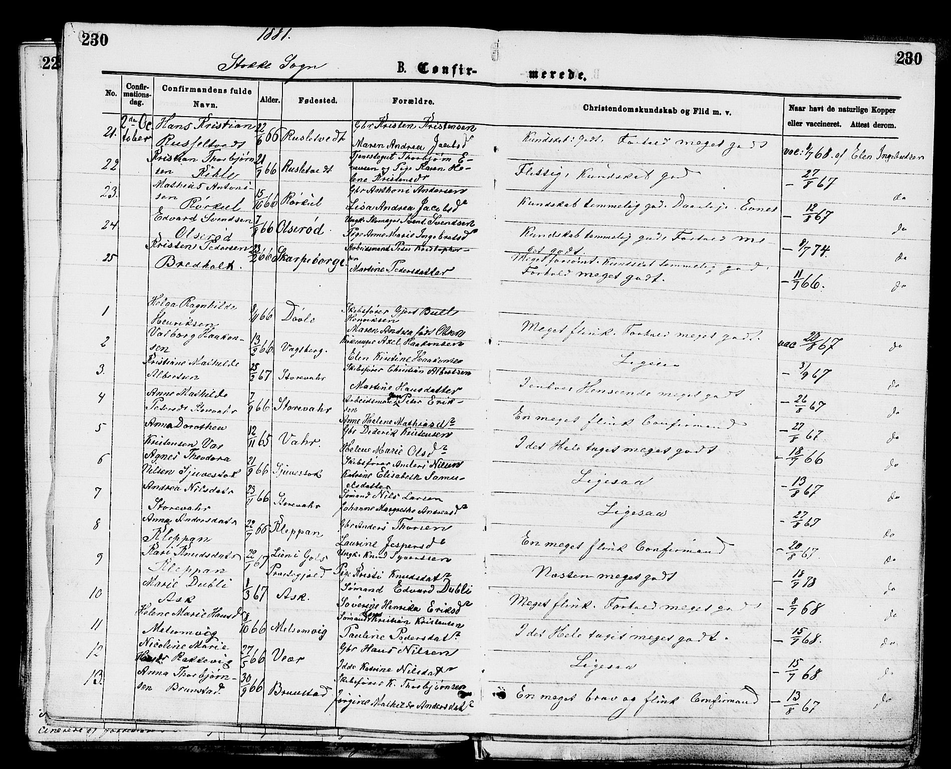 Stokke kirkebøker, AV/SAKO-A-320/F/Fa/L0009: Parish register (official) no. I 9, 1872-1883, p. 230