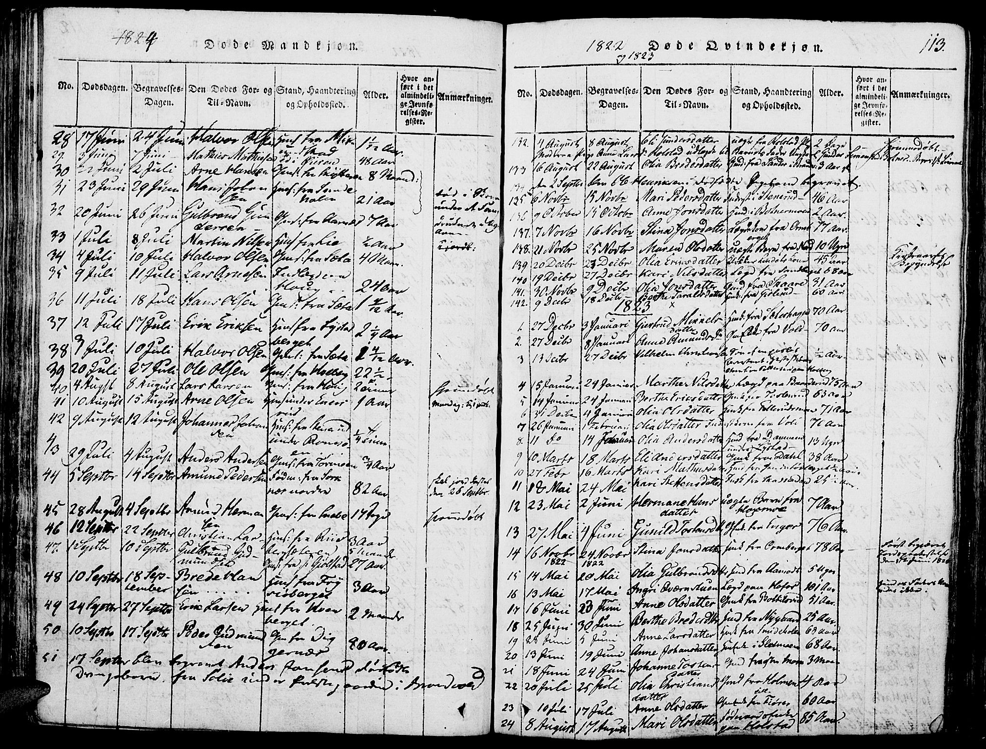 Grue prestekontor, AV/SAH-PREST-036/H/Ha/Haa/L0006: Parish register (official) no. 6, 1814-1830, p. 113