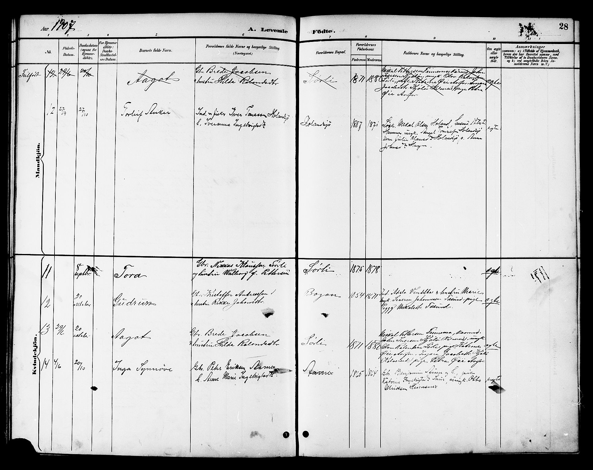 Ministerialprotokoller, klokkerbøker og fødselsregistre - Nord-Trøndelag, AV/SAT-A-1458/783/L0662: Parish register (copy) no. 783C02, 1894-1919, p. 28