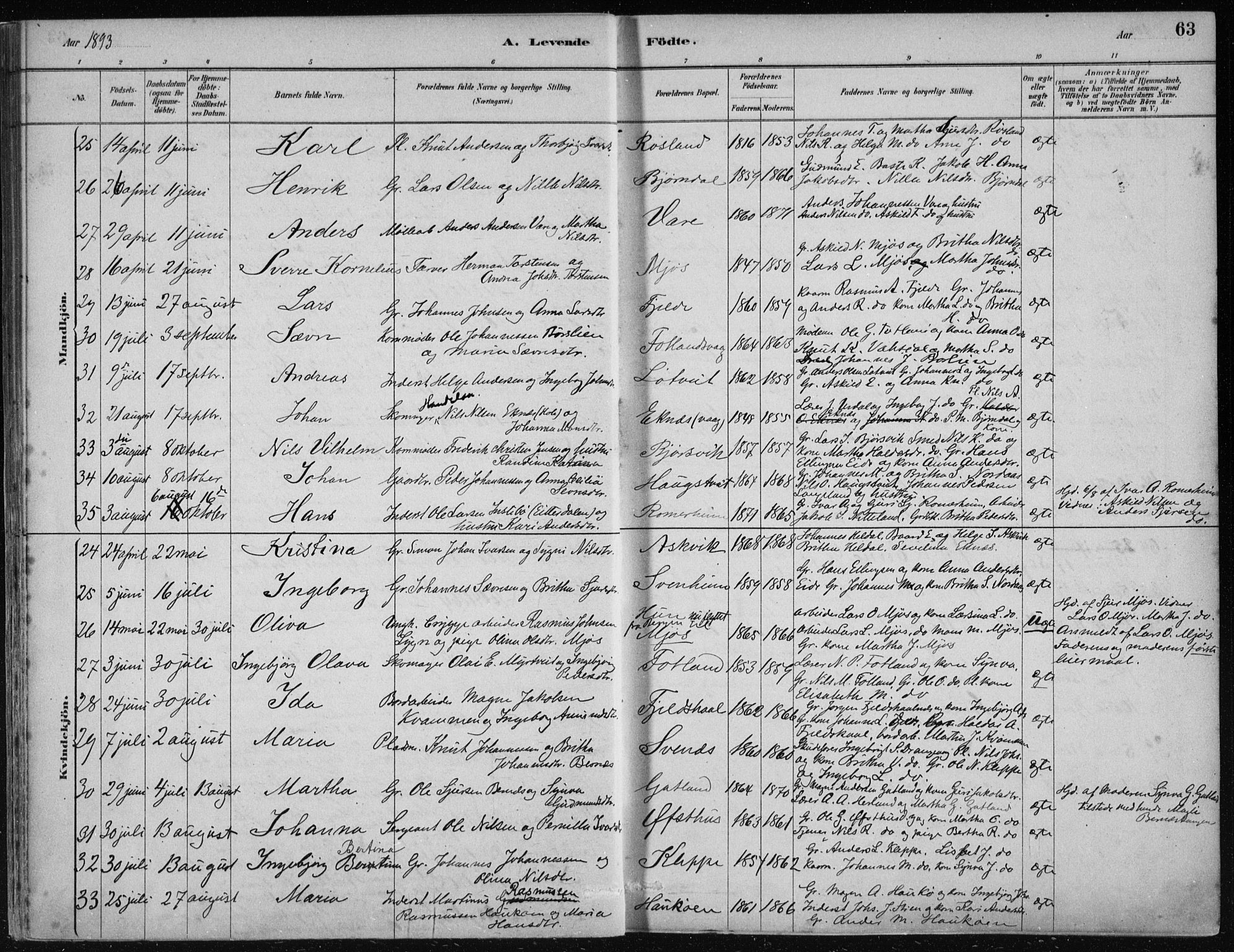 Hosanger sokneprestembete, AV/SAB-A-75801/H/Haa: Parish register (official) no. B  1, 1880-1896, p. 63