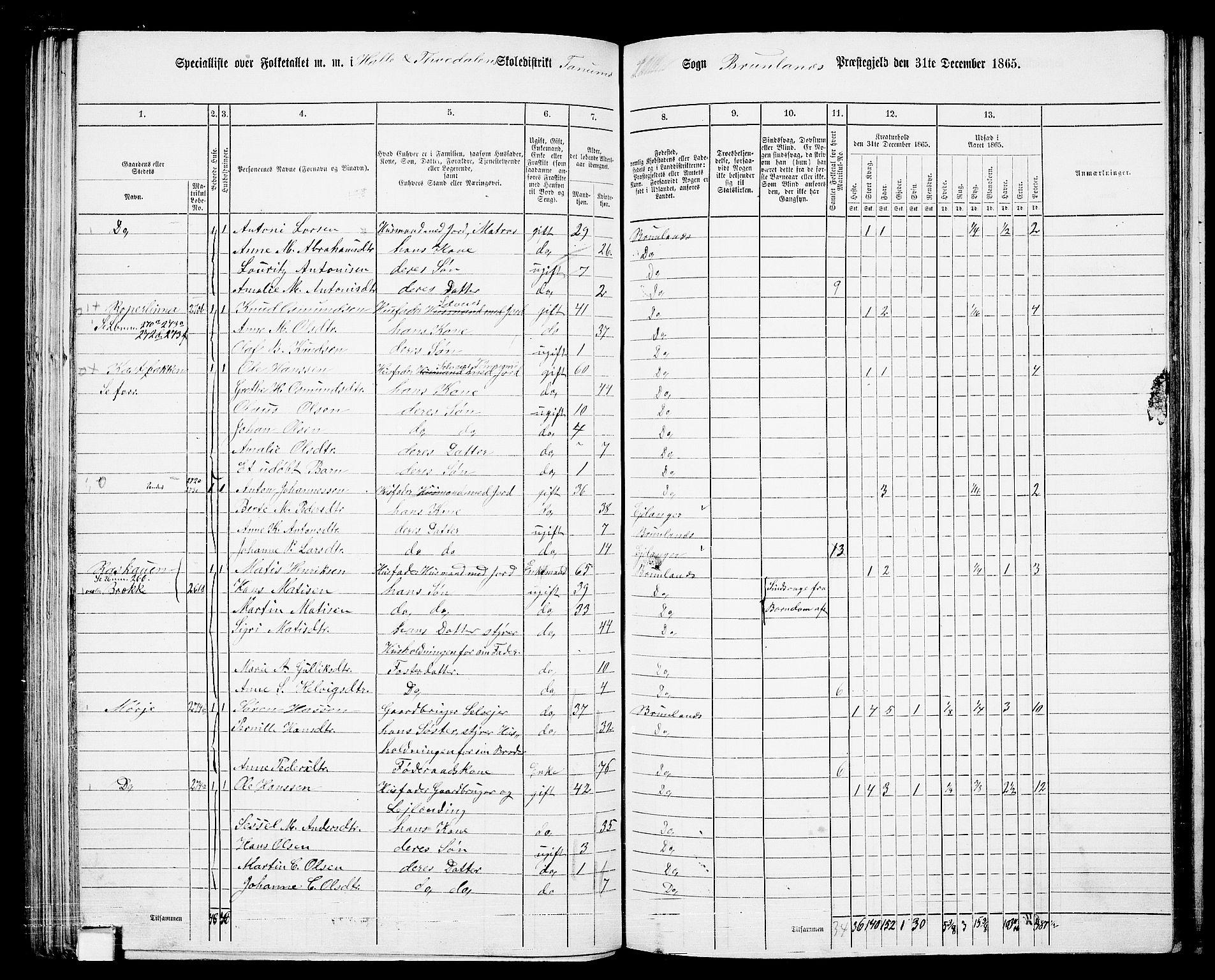 RA, 1865 census for Brunlanes, 1865, p. 103