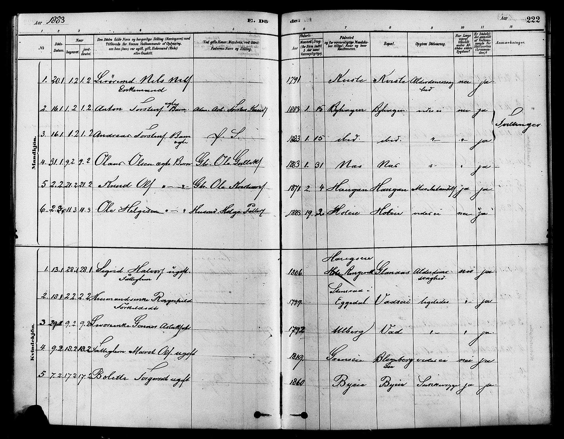 Sigdal kirkebøker, SAKO/A-245/F/Fa/L0011: Parish register (official) no. I 11, 1879-1887, p. 222