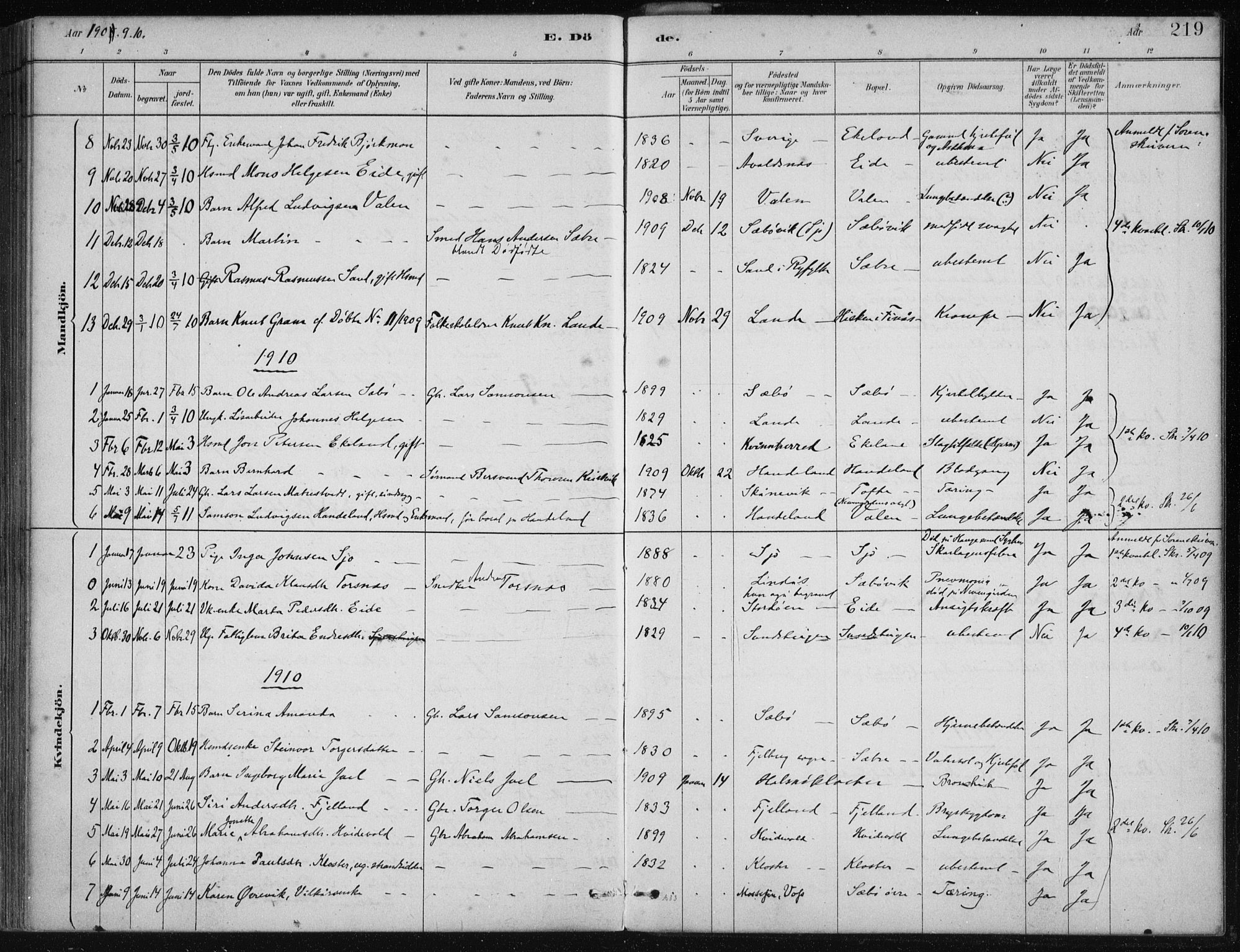 Fjelberg sokneprestembete, SAB/A-75201/H/Haa: Parish register (official) no. C  1, 1879-1918, p. 219