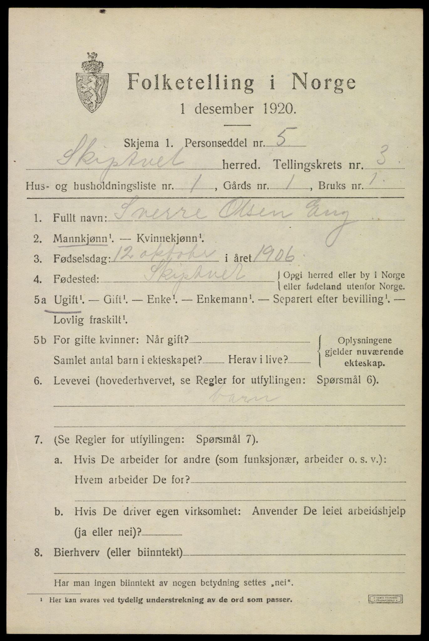 SAO, 1920 census for Skiptvet, 1920, p. 2917